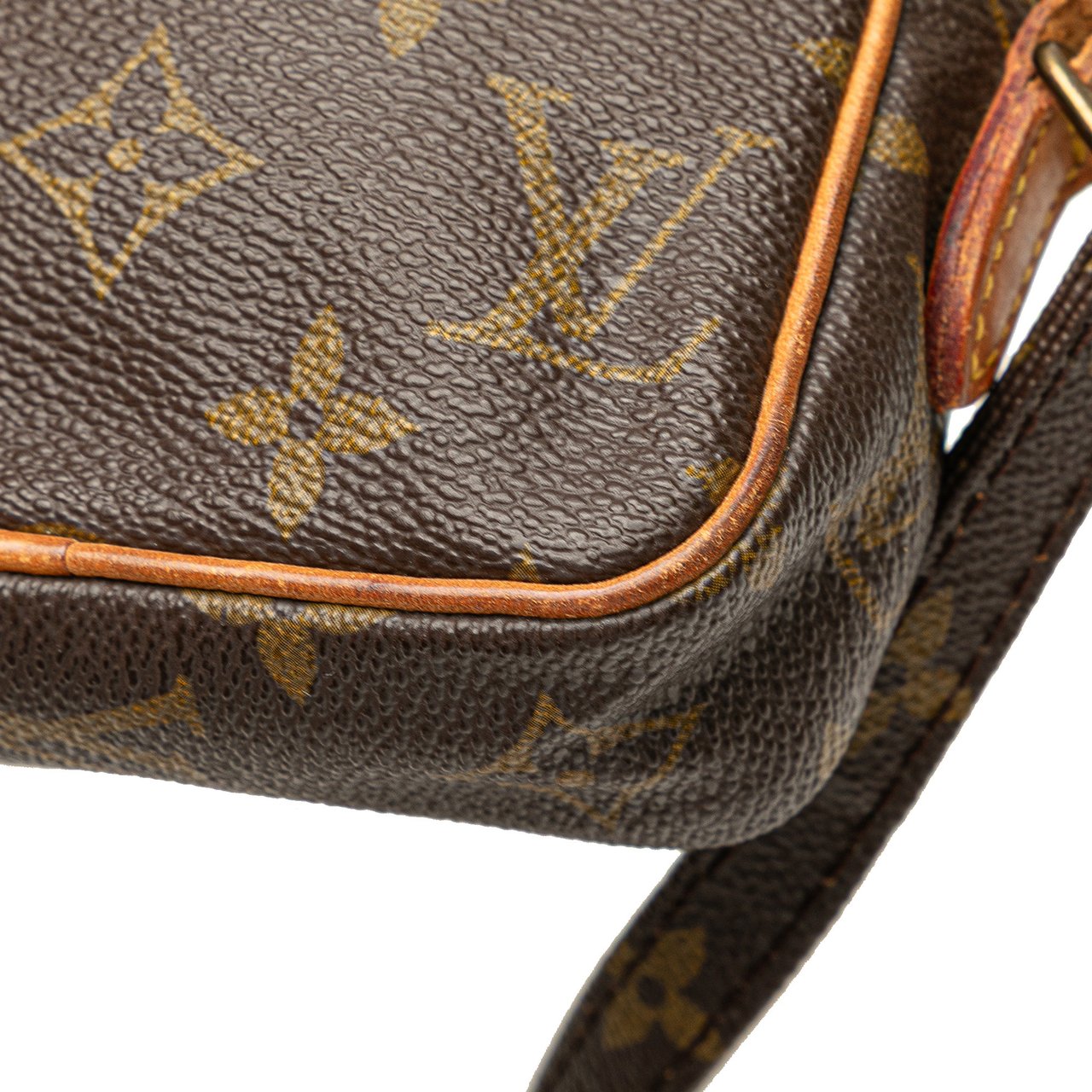Louis Vuitton Monogram Mini Danube Bruin