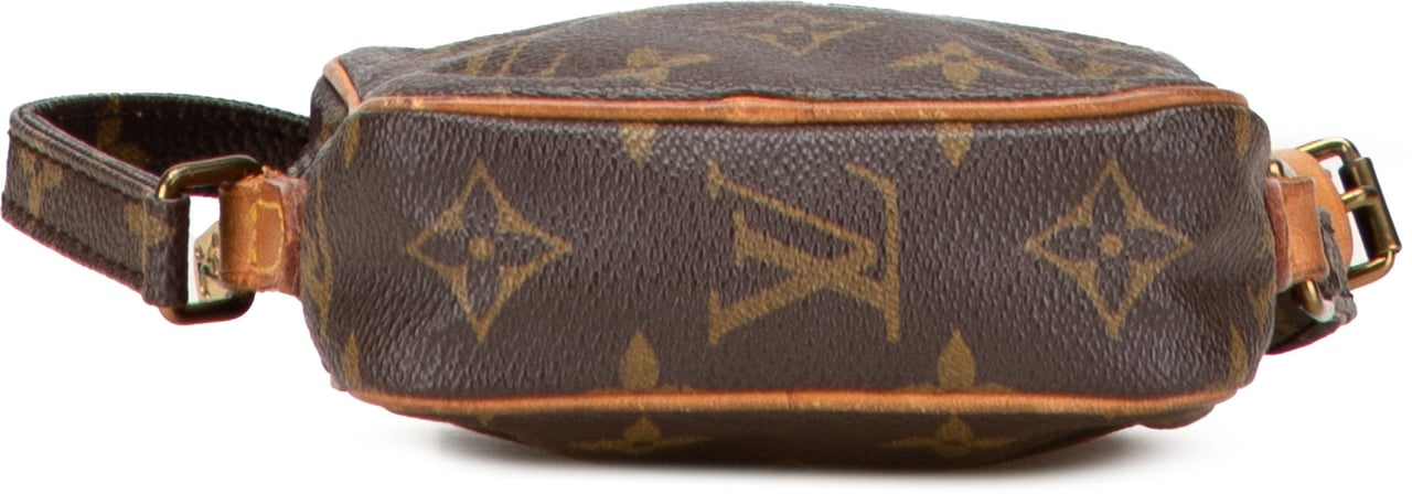 Louis Vuitton Monogram Mini Danube Bruin