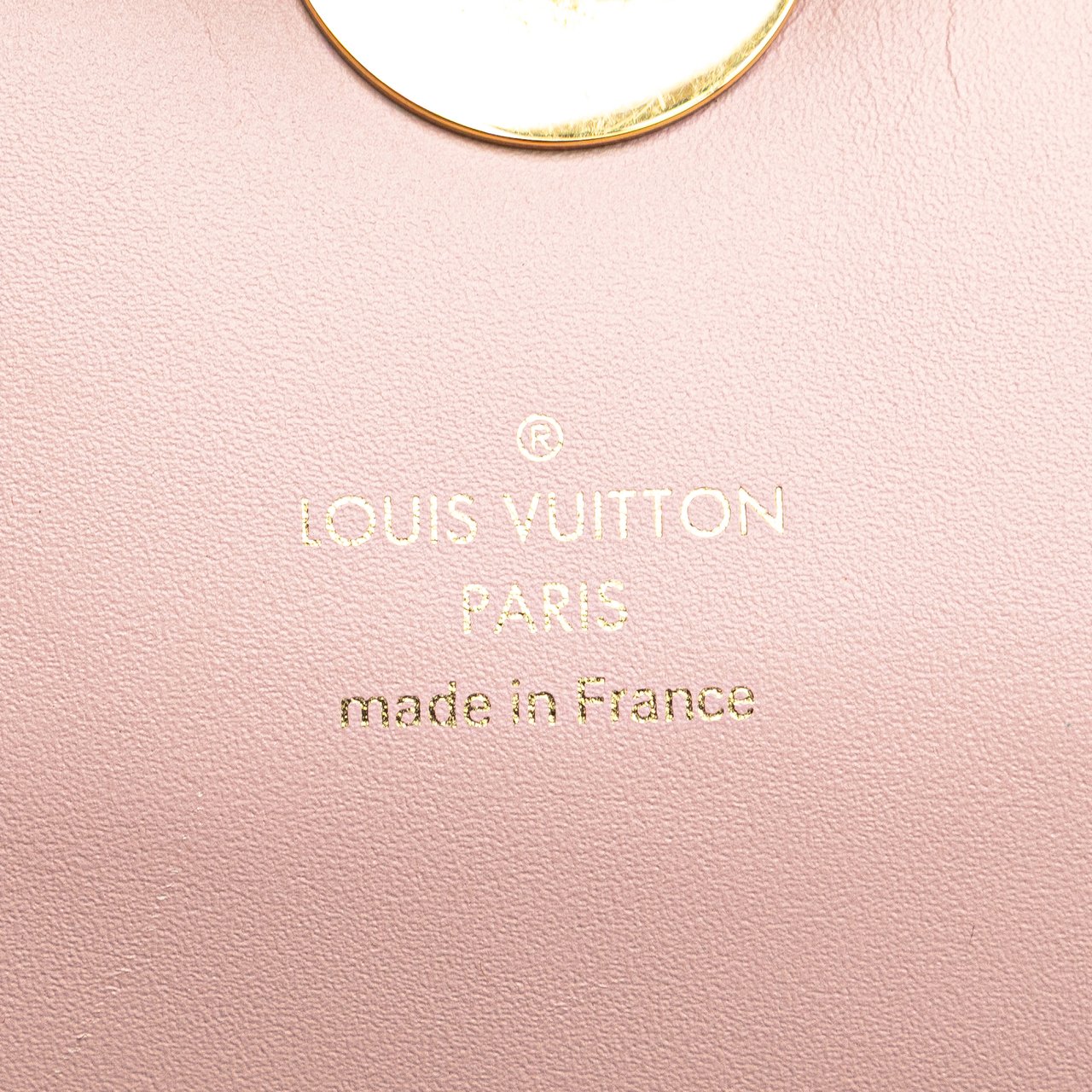 Louis Vuitton Monogram Flore Wallet On Chain Bruin