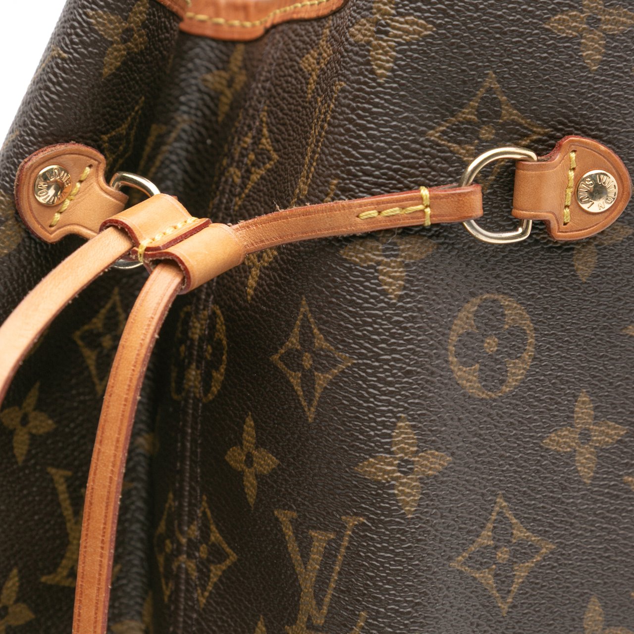 Louis Vuitton Monogram Neverfull GM Bruin