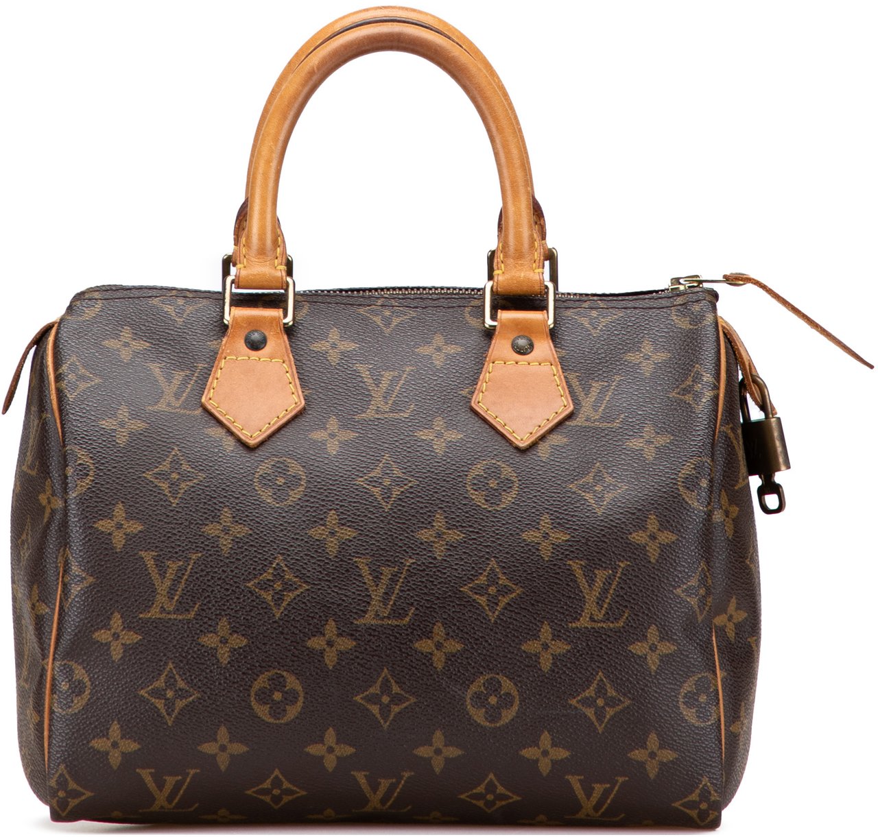 Louis Vuitton Monogram Speedy 25 Bruin