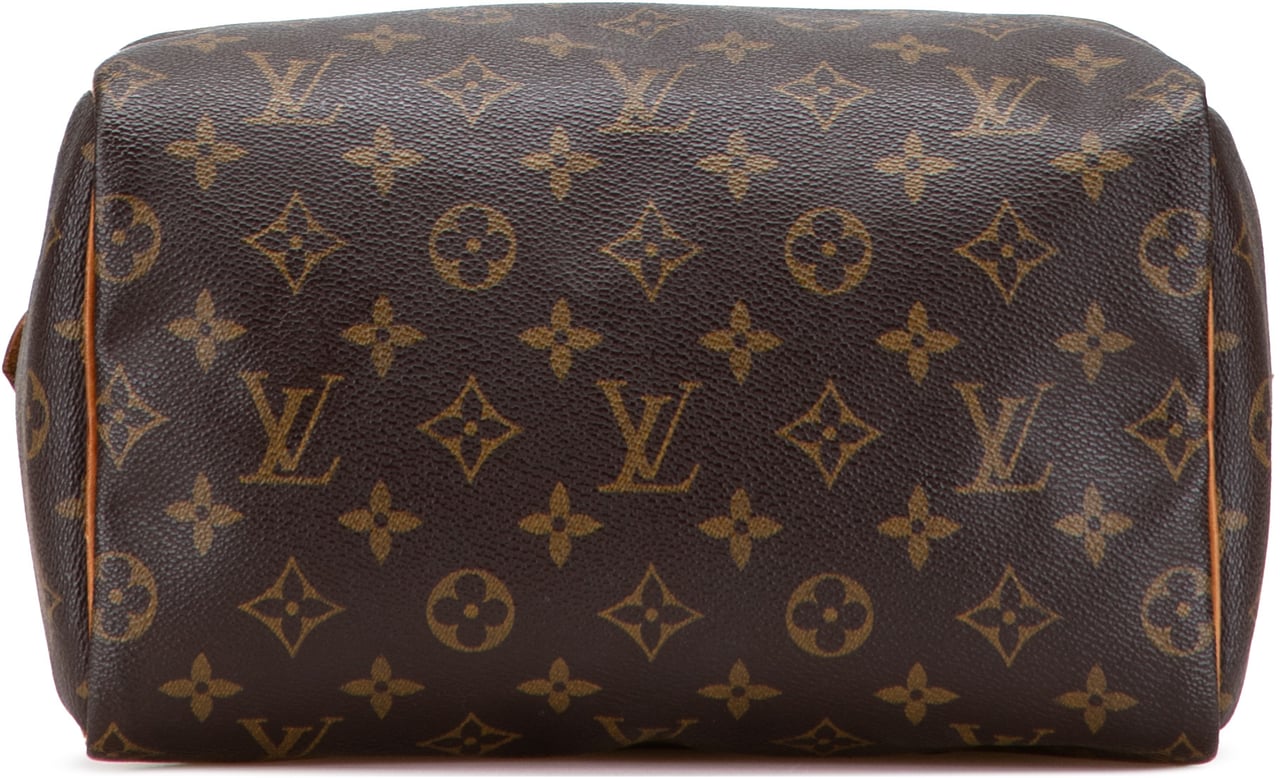 Louis Vuitton Monogram Speedy 25 Bruin
