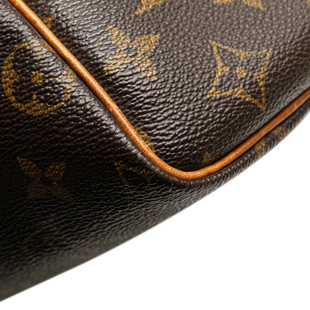 Louis Vuitton Monogram Speedy 25 Bruin
