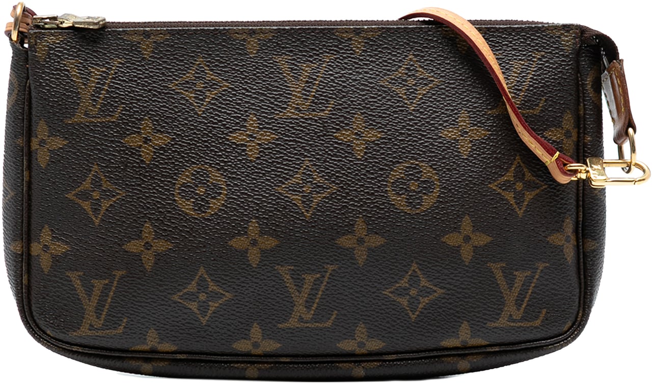 Louis Vuitton Monogram Pochette Accessoires Bruin