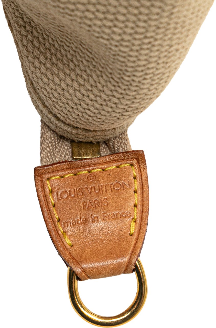 Louis Vuitton Antigua Cabas MM Bruin