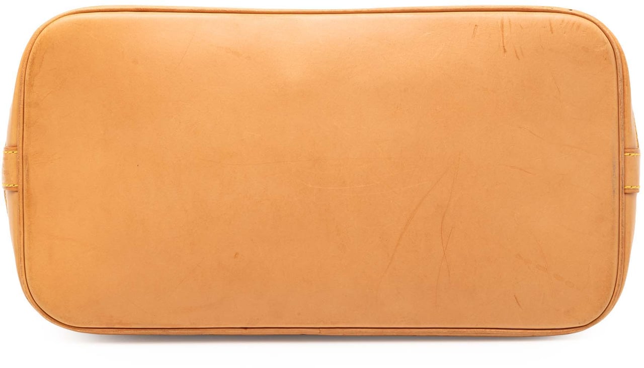 Louis Vuitton Monogram Alma PM Bruin