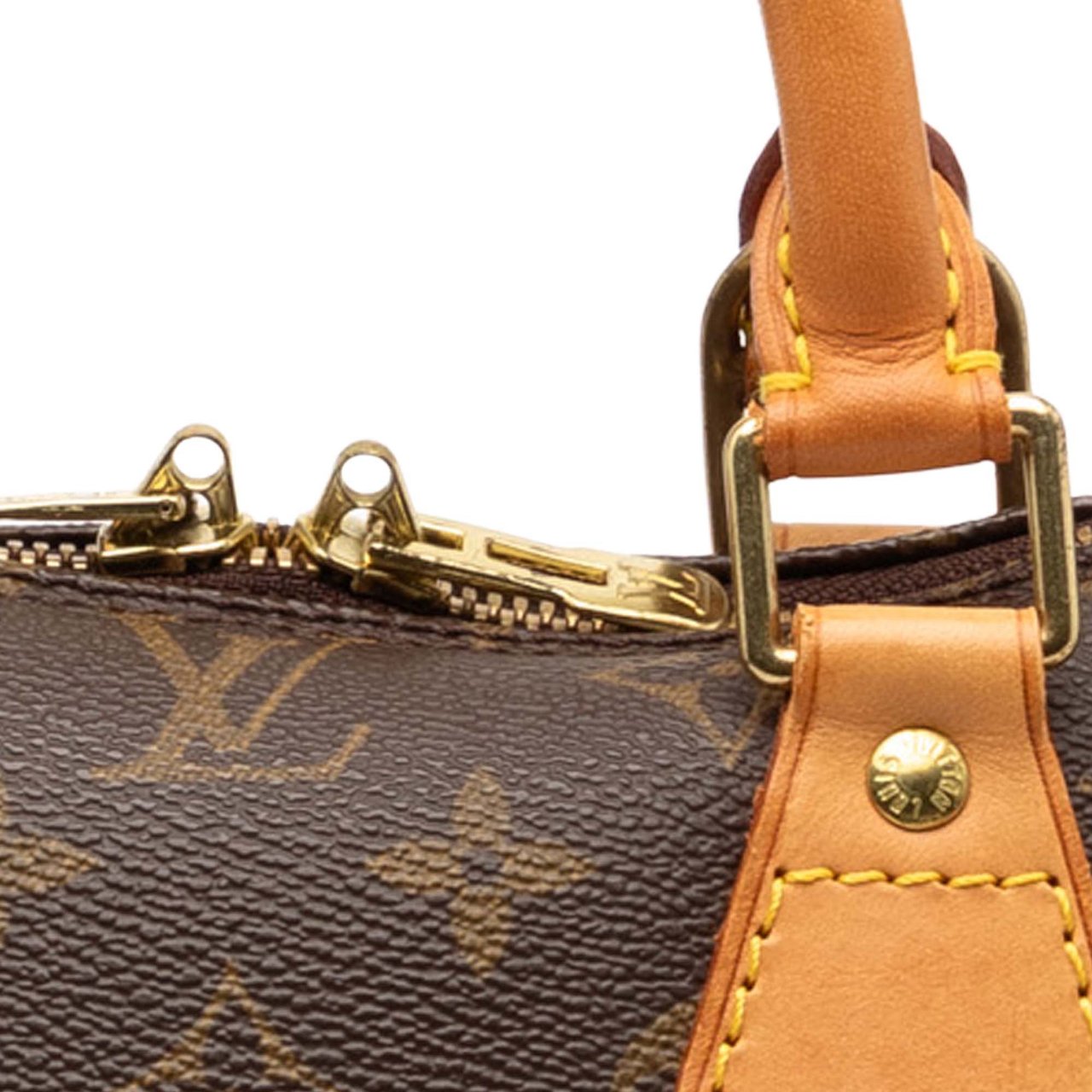 Louis Vuitton Monogram Alma PM Bruin