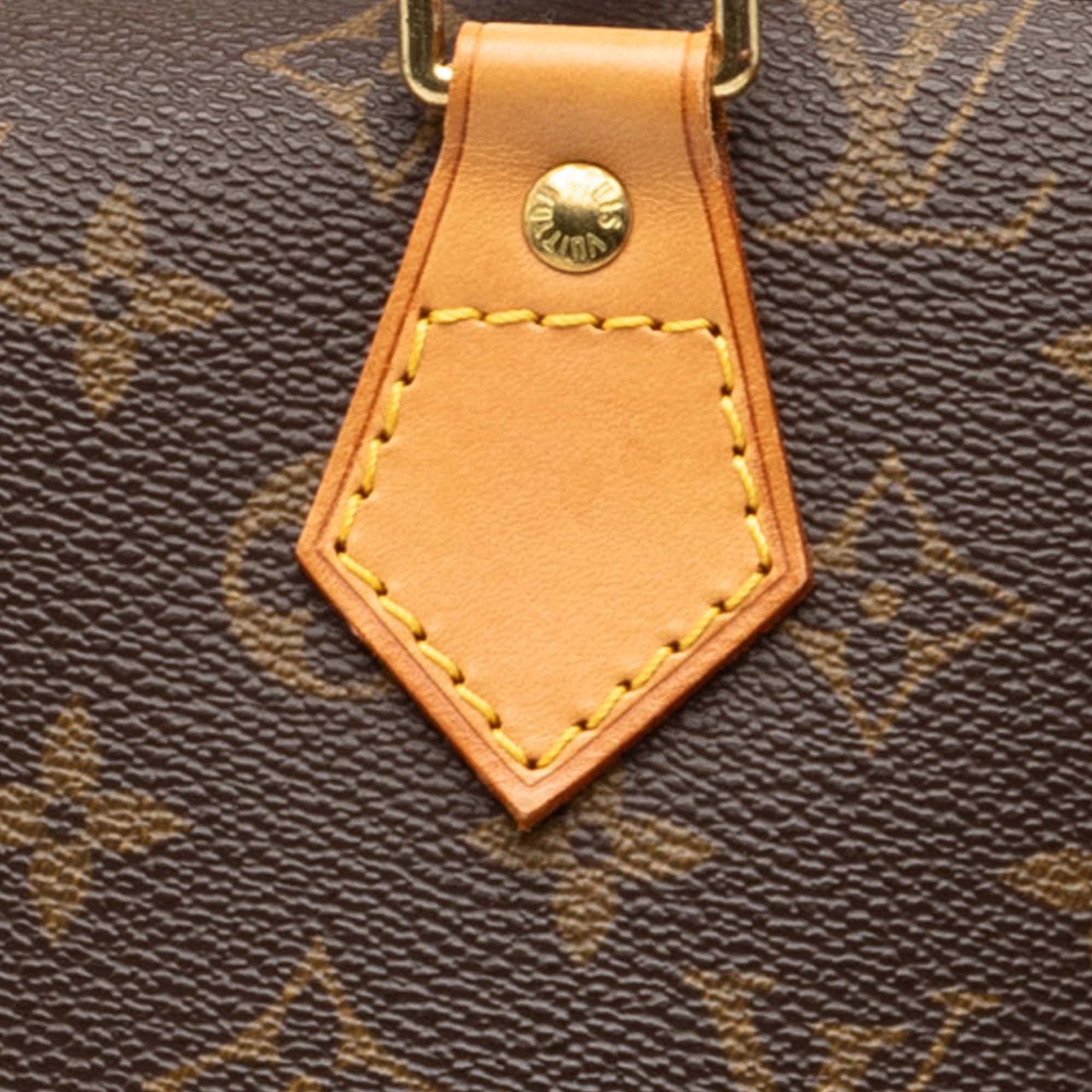 Louis Vuitton Monogram Alma PM Bruin