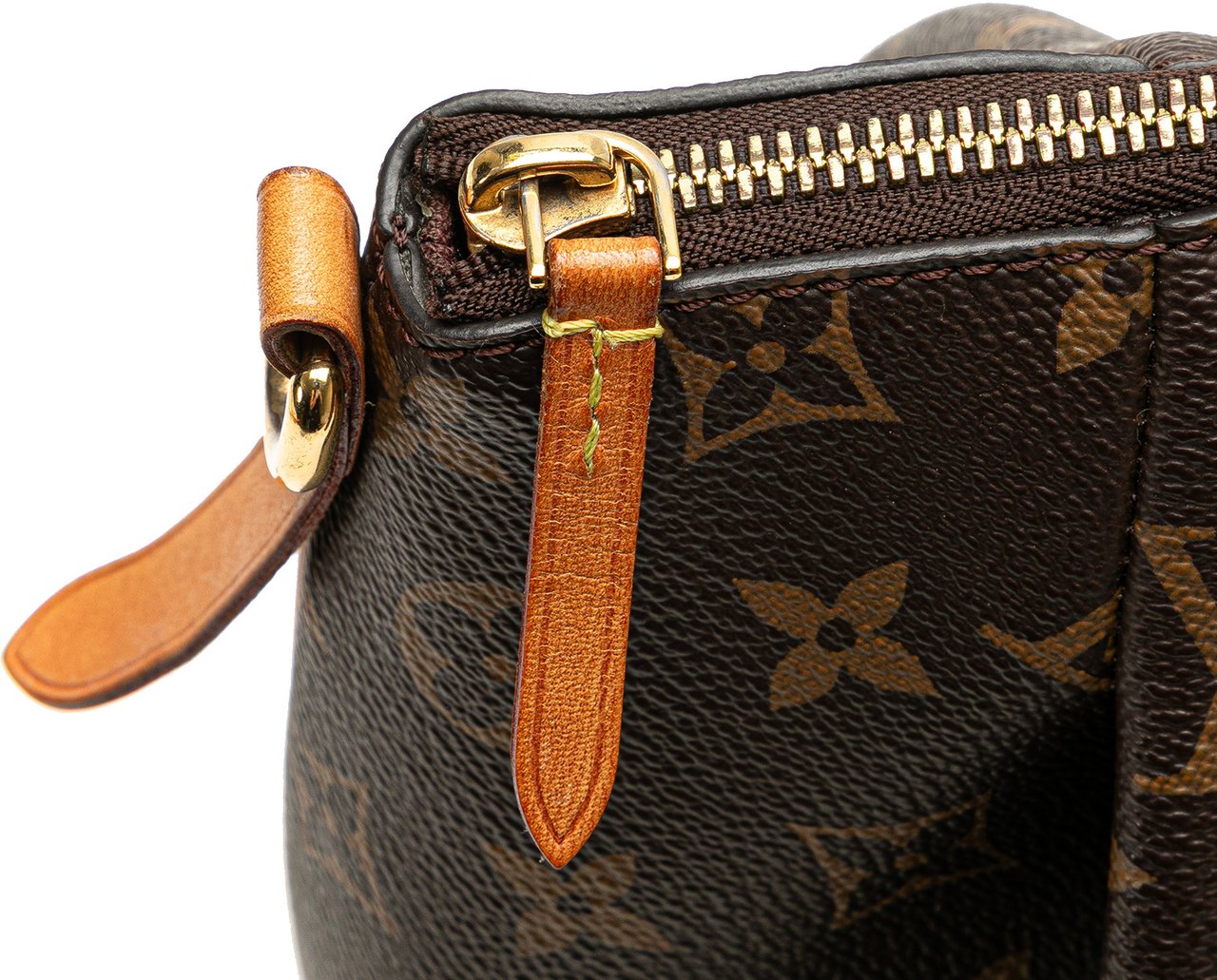 Louis Vuitton Monogram Turenne PM Bruin
