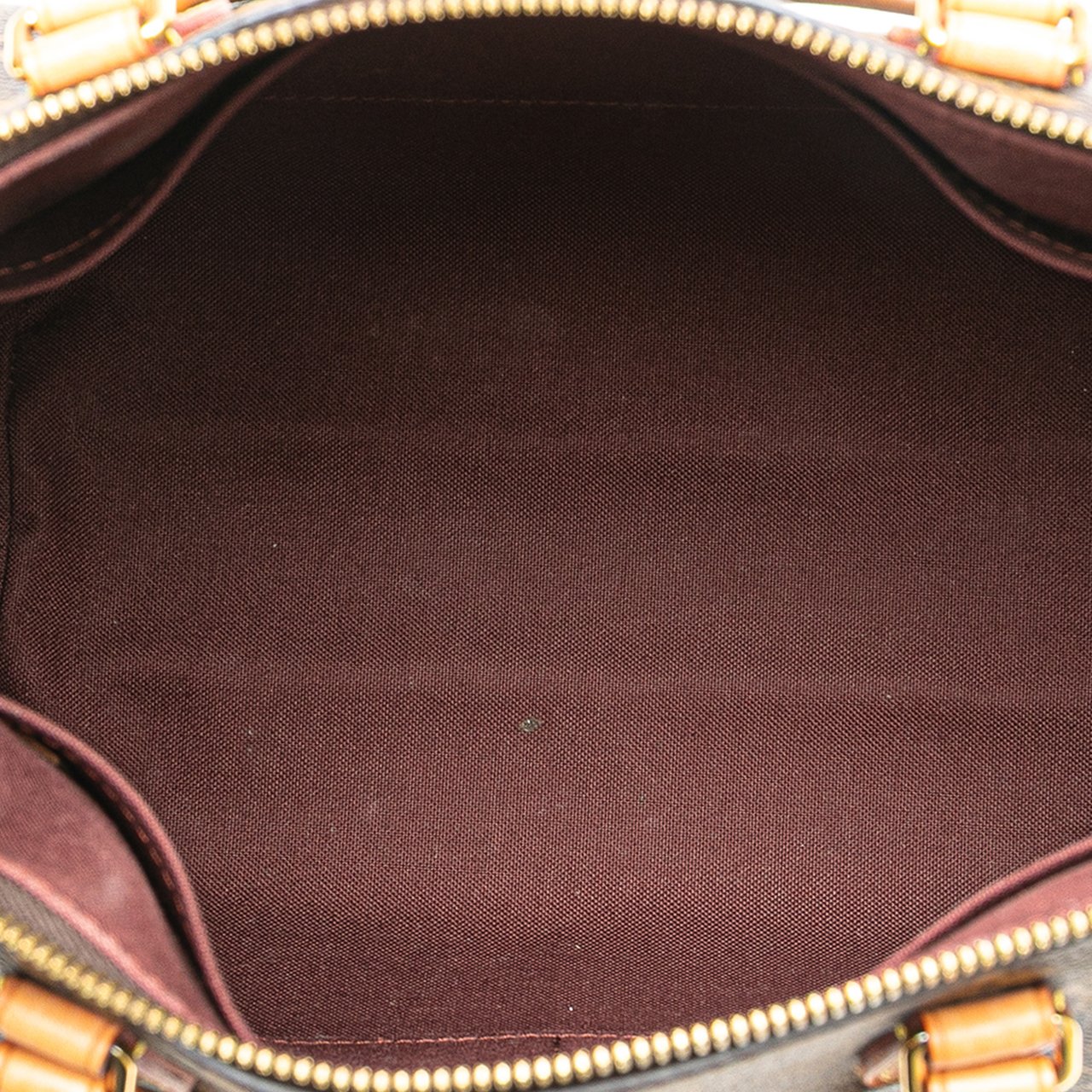 Louis Vuitton Monogram Turenne PM Bruin