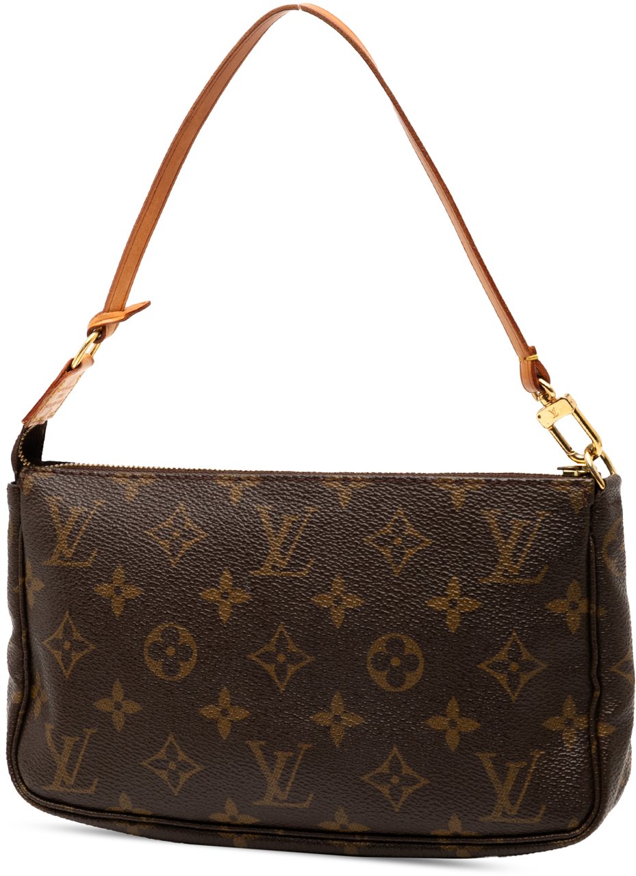 Louis Vuitton Monogram Pochette Accessoires Bruin