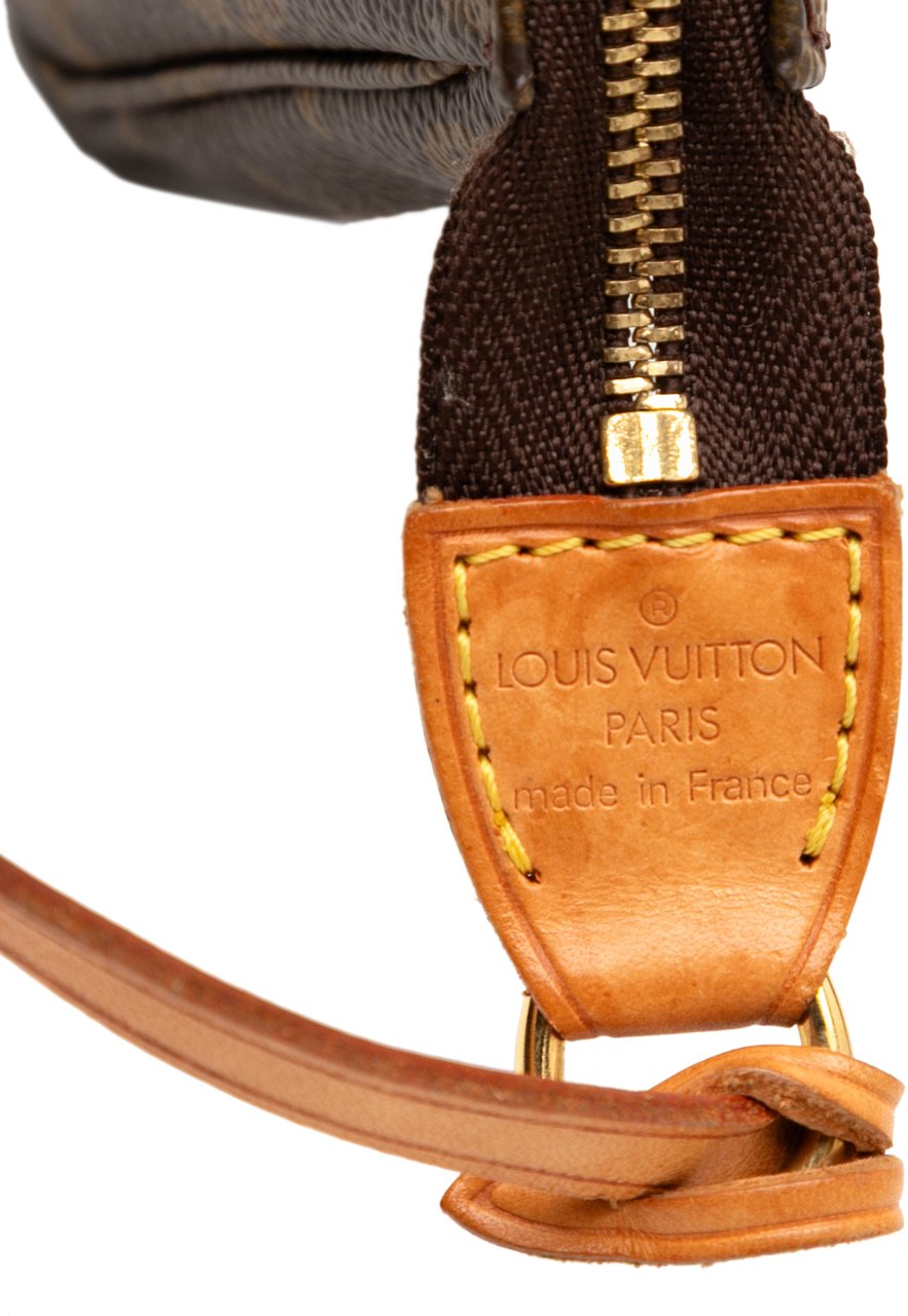 Louis Vuitton Monogram Pochette Accessoires Bruin