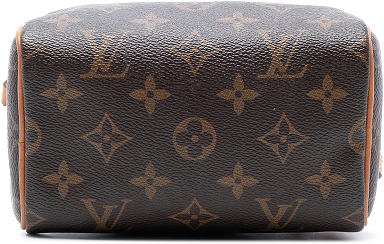 Louis Vuitton Monogram Nano Speedy Bandouliere Bruin