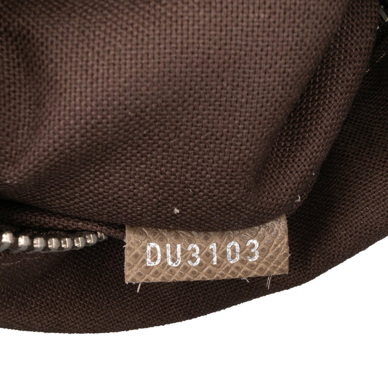 Louis Vuitton Taiga Roman PM Bruin