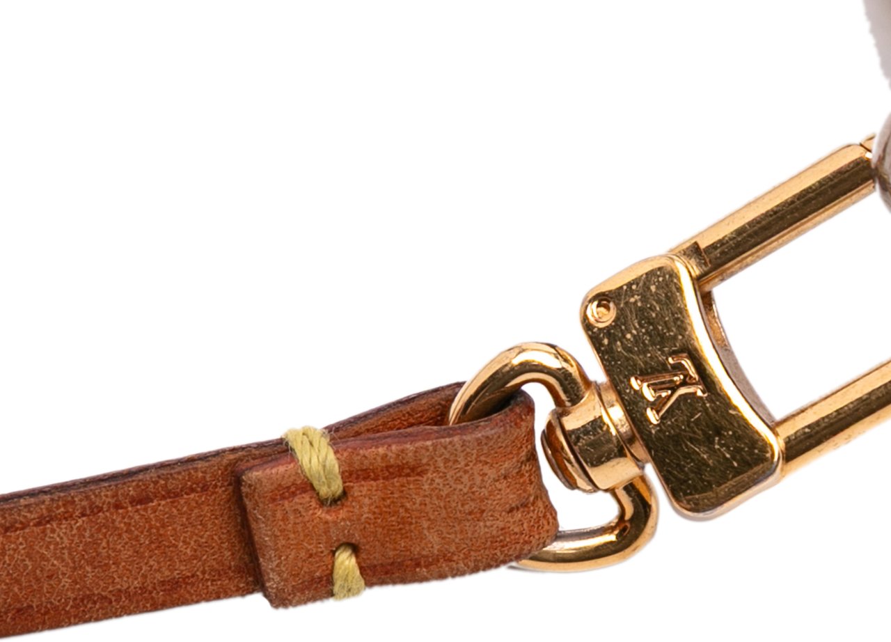 Louis Vuitton Monogram Pochette Accessoires Bruin