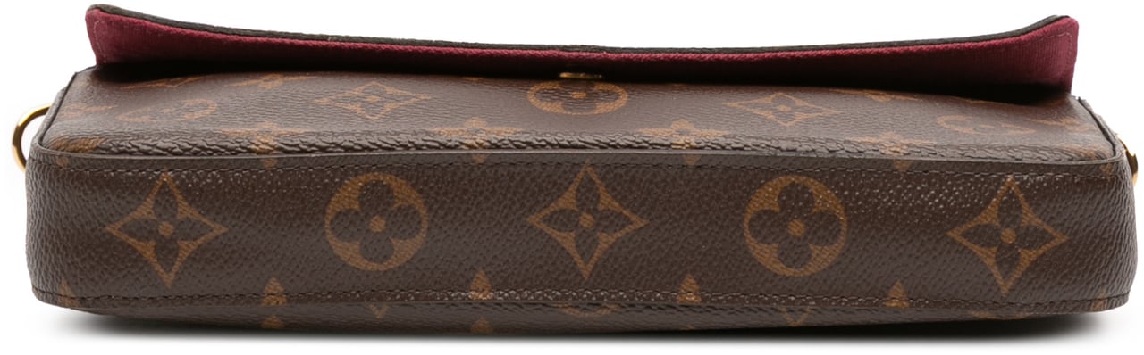 Louis Vuitton Monogram Pochette Felicie Bruin