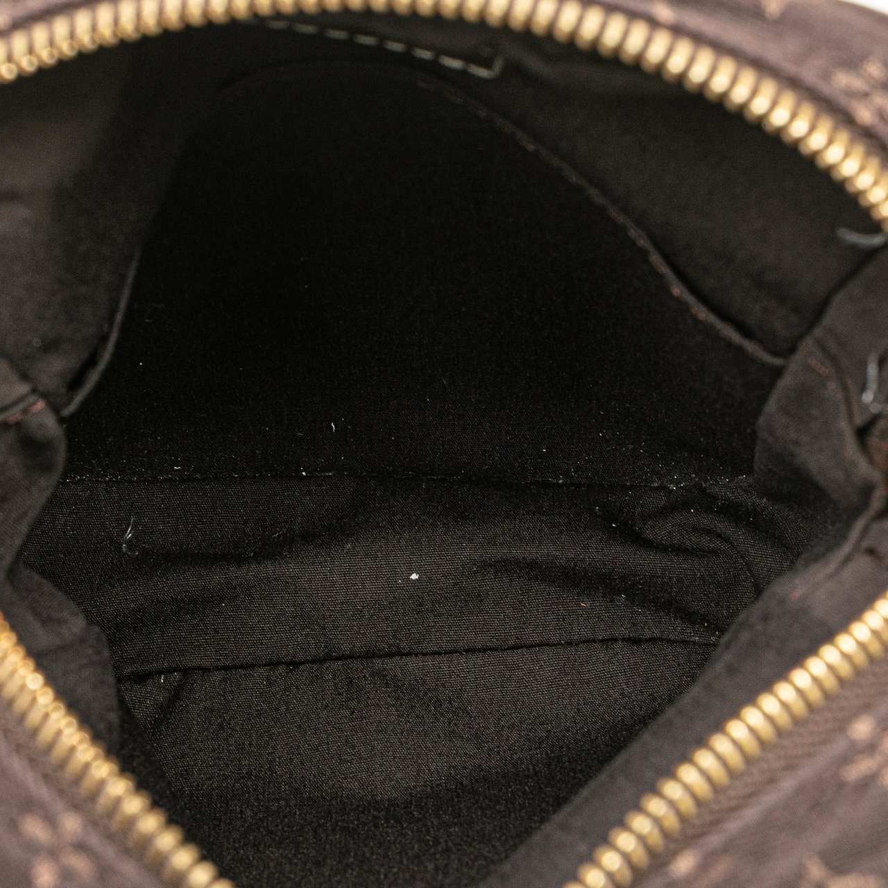 Louis Vuitton Monogram Mini Lin Danube Bruin
