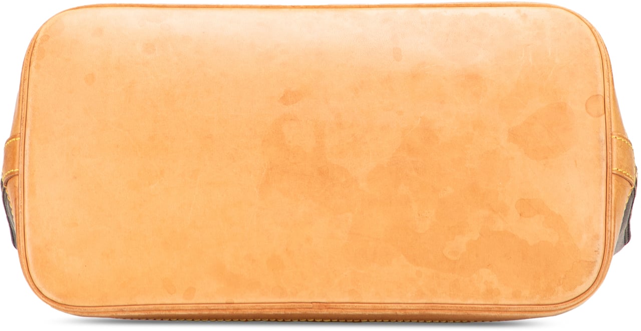 Louis Vuitton Monogram Alma PM Bruin