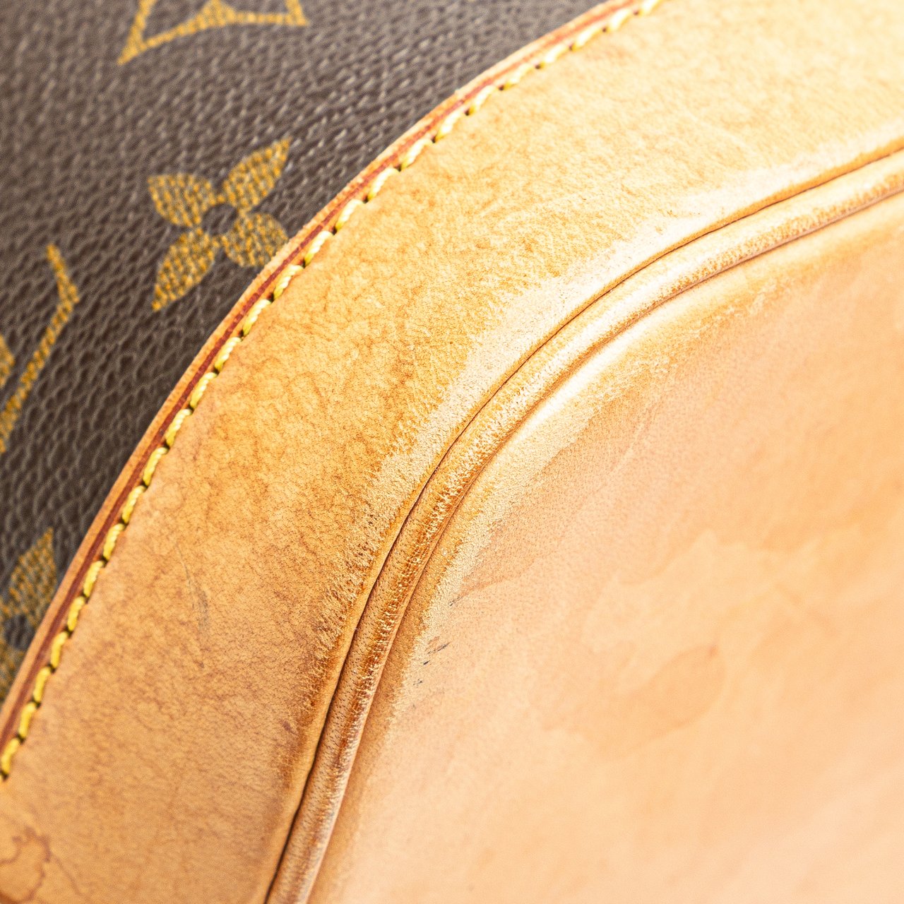 Louis Vuitton Monogram Alma PM Bruin