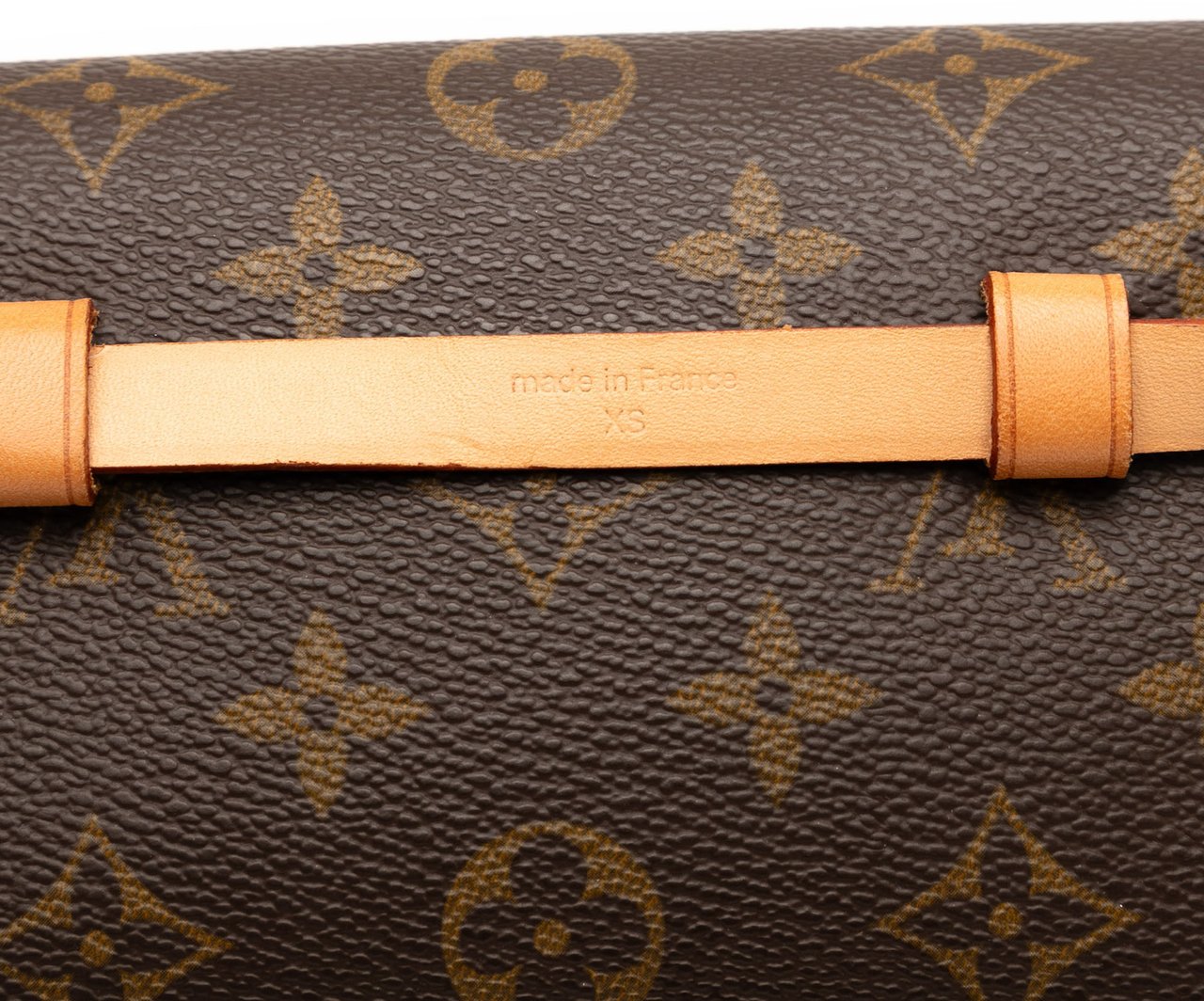 Louis Vuitton Monogram Pochette Florentine Bruin