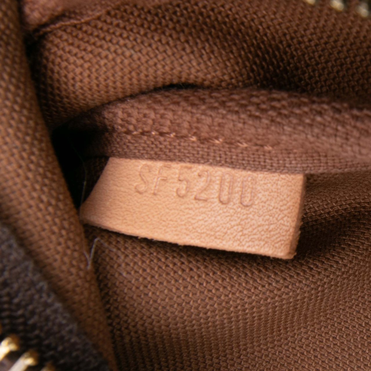 Louis Vuitton Monogram Mini Pochette Accessoires Bruin