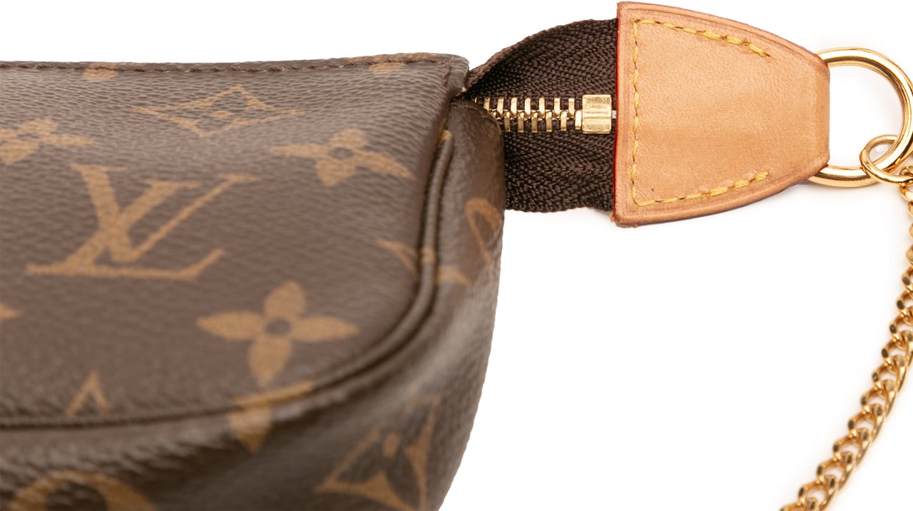 Louis Vuitton Monogram Mini Pochette Accessoires Bruin