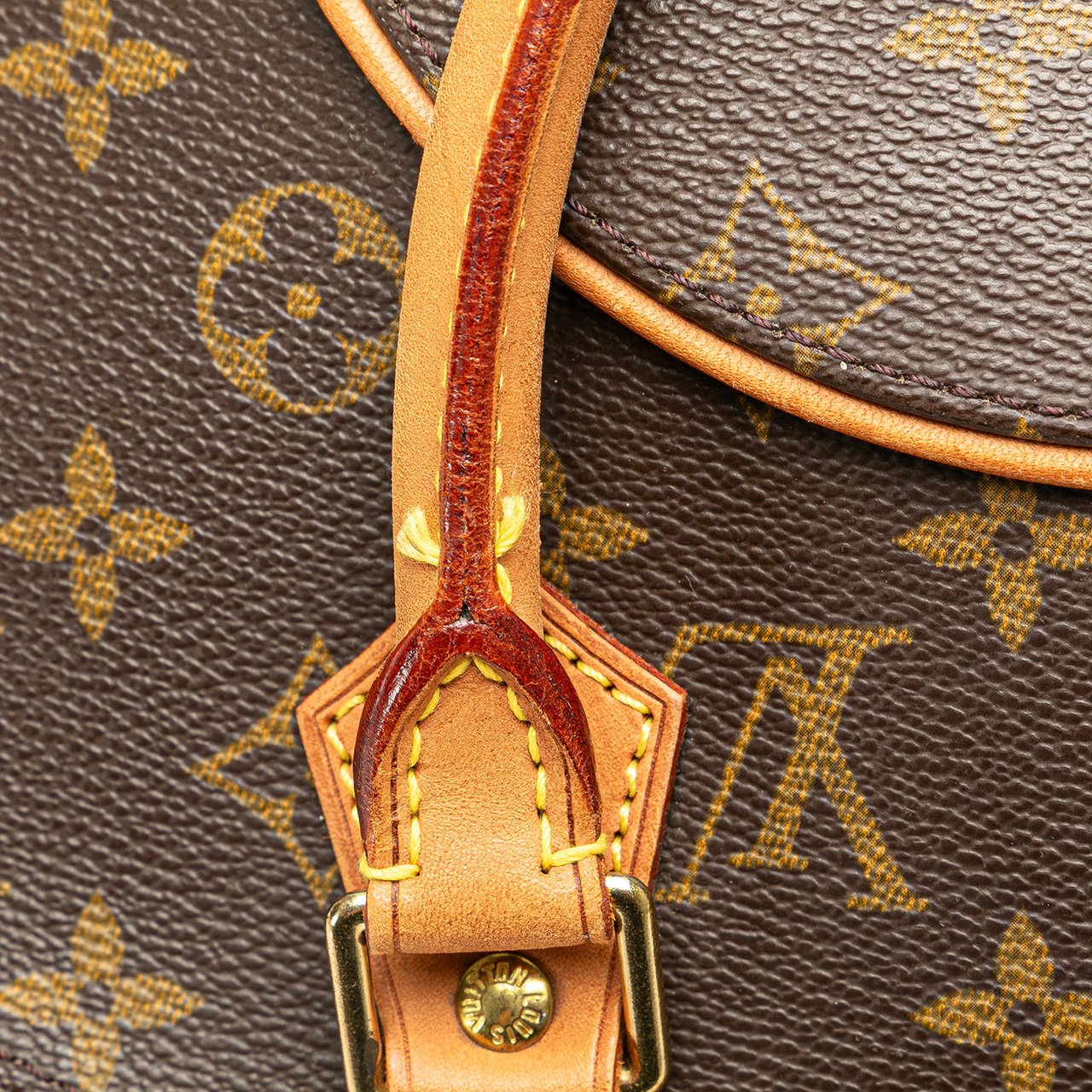 Louis Vuitton Monogram Ellipse MM Bruin