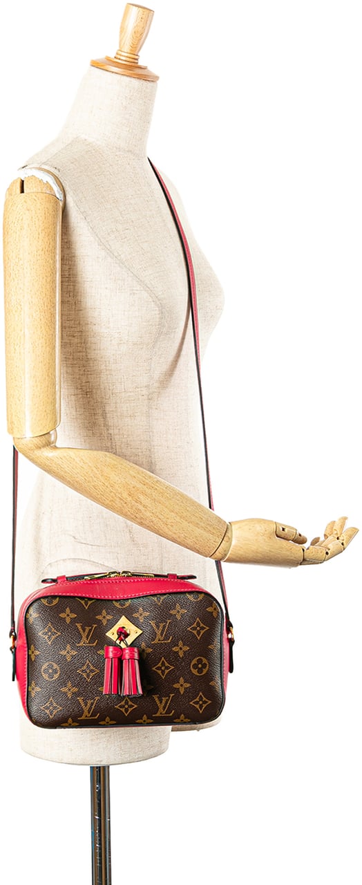 Louis Vuitton Monogram Saintonge Bruin