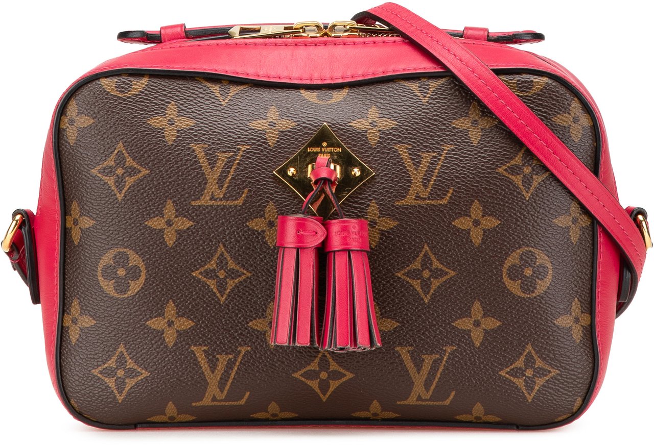 Louis Vuitton Monogram Saintonge Bruin