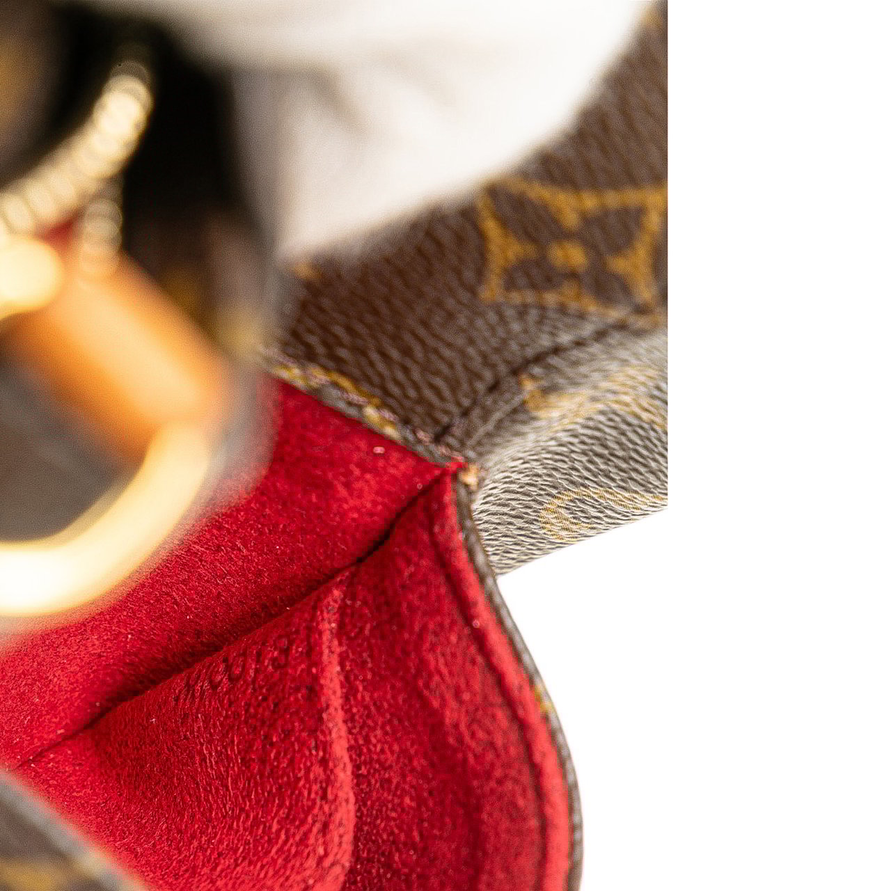 Louis Vuitton Monogram Partition Bruin