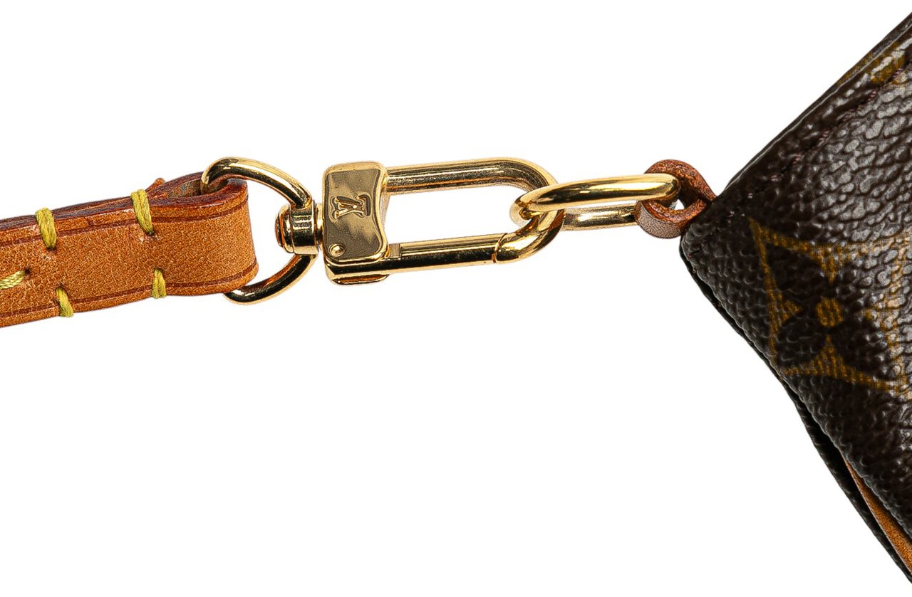 Louis Vuitton Monogram Partition Bruin
