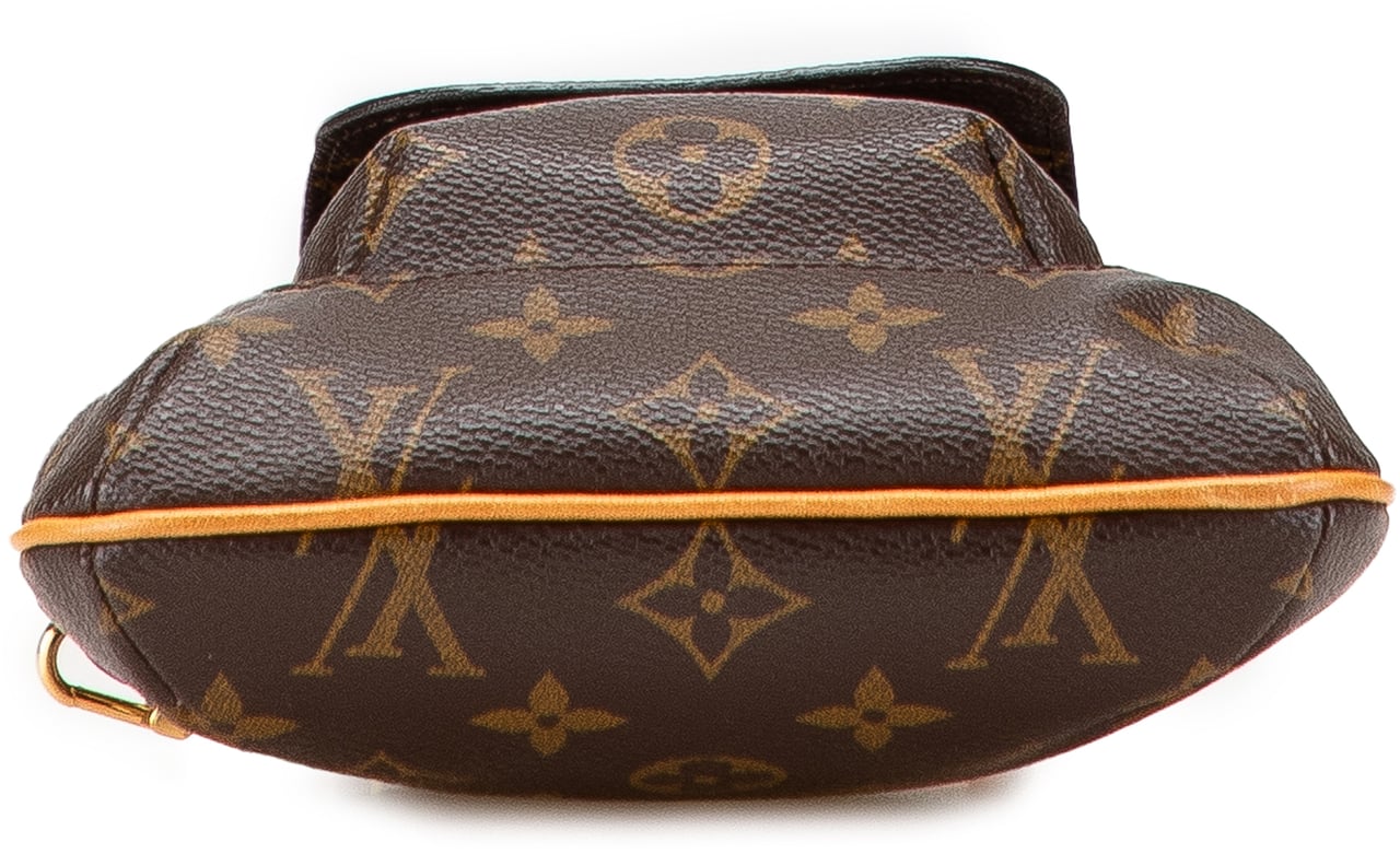 Louis Vuitton Monogram Partition Bruin