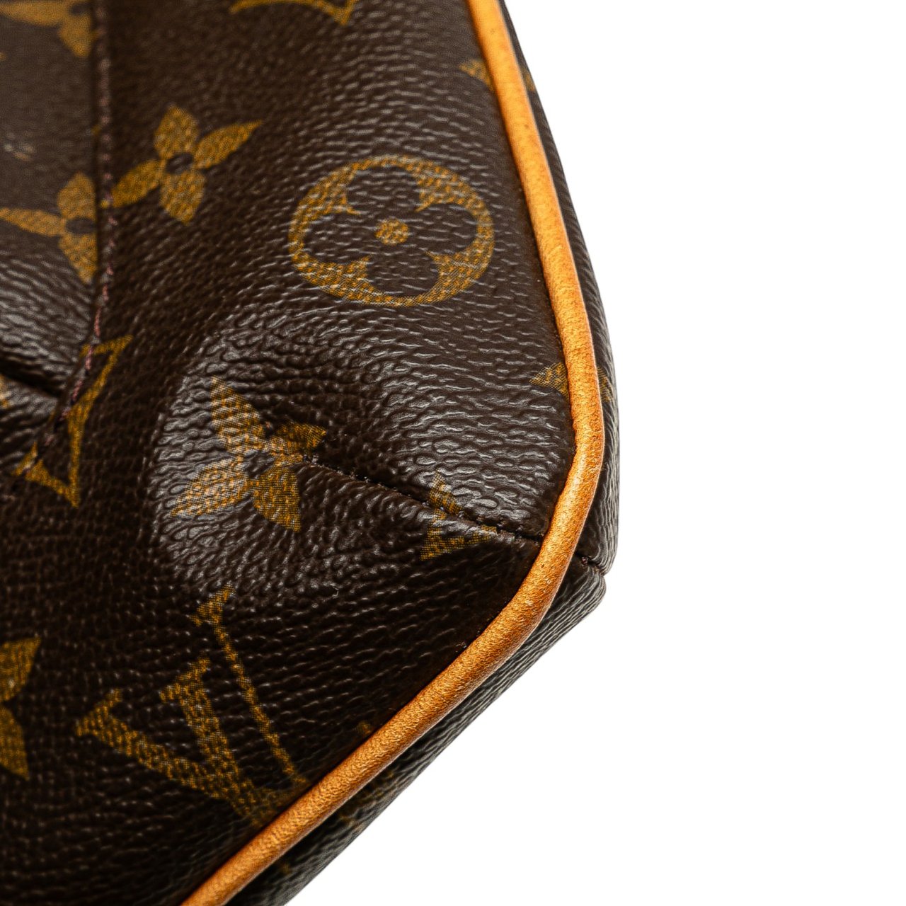 Louis Vuitton Monogram Partition Bruin