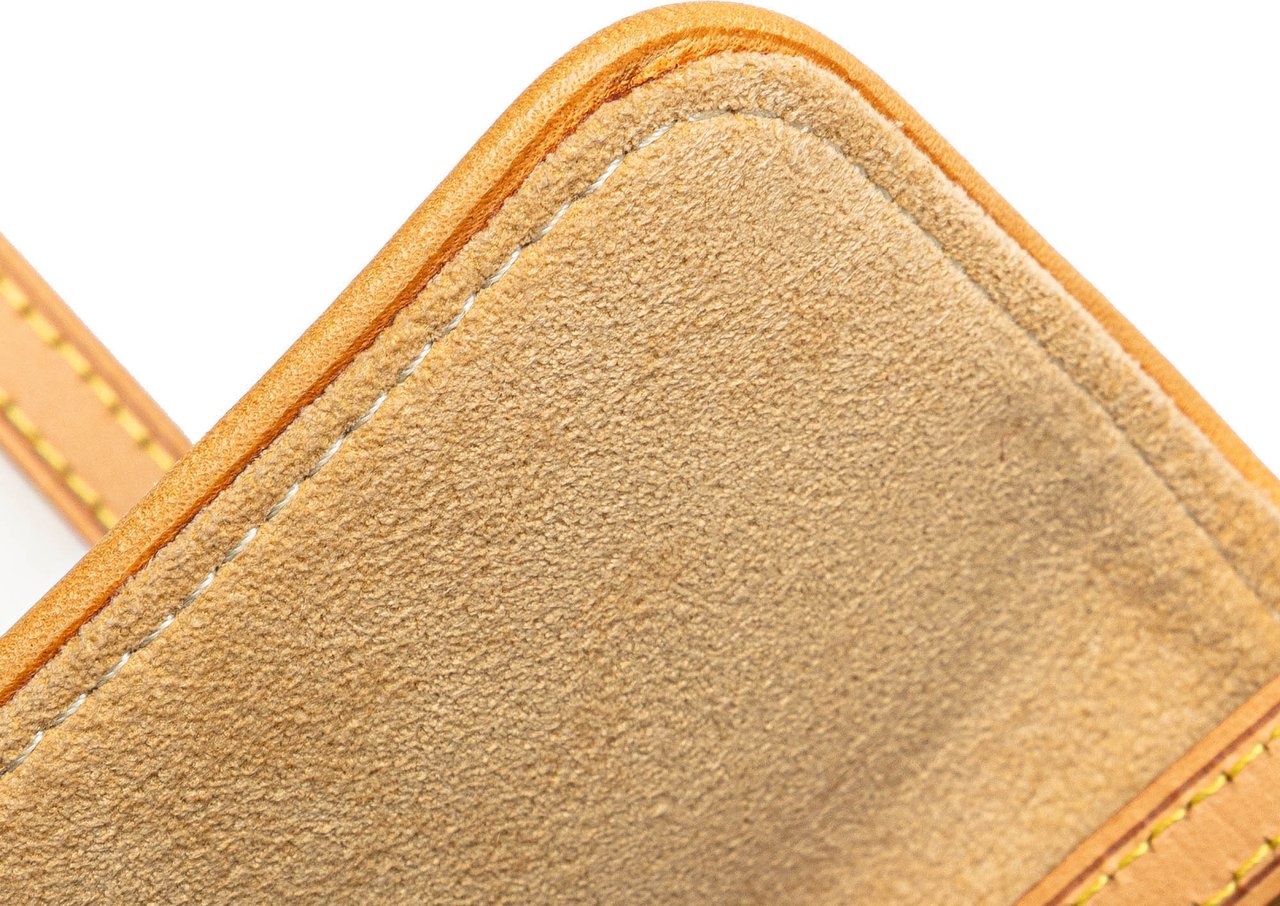 Louis Vuitton Monogram Pochette Twin PM Bruin