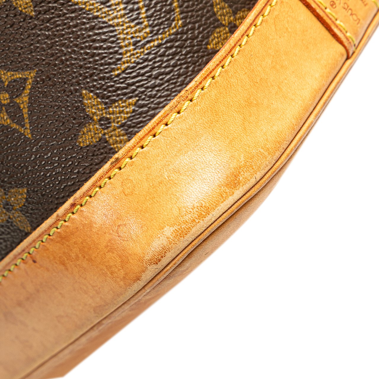 Louis Vuitton Monogram Alma PM Bruin
