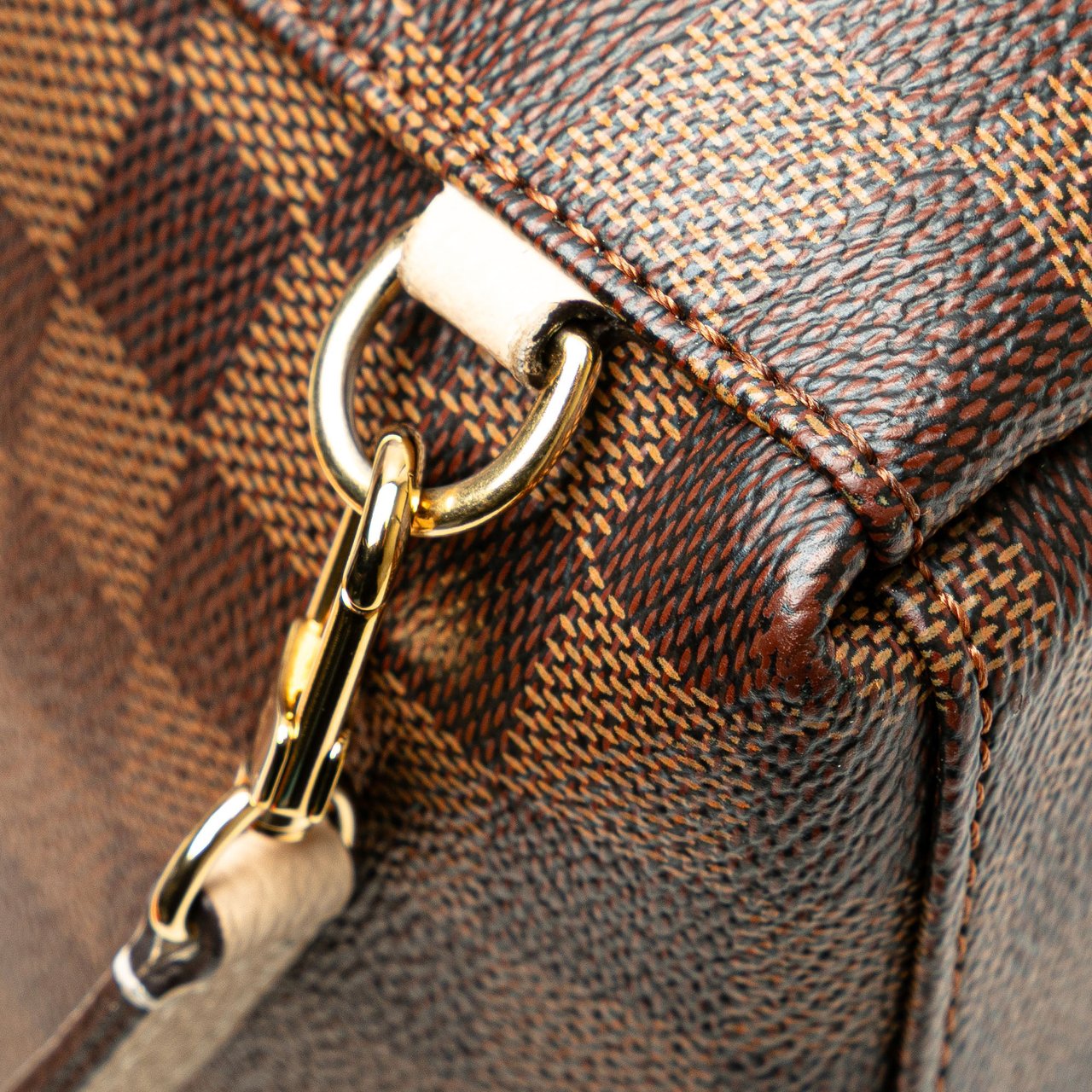 Louis Vuitton Damier Ebene Clapton Bruin