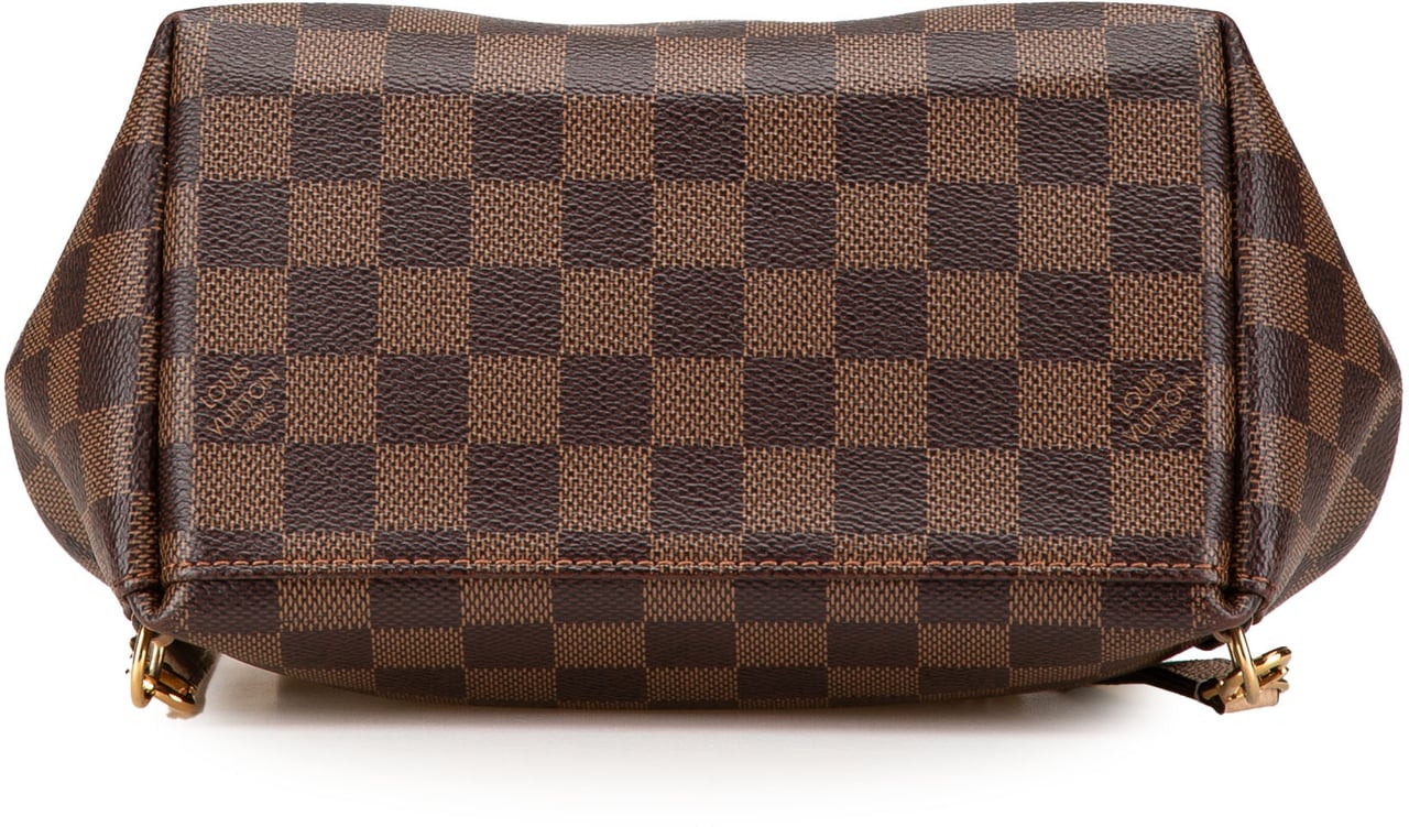 Louis Vuitton Damier Ebene Clapton Bruin