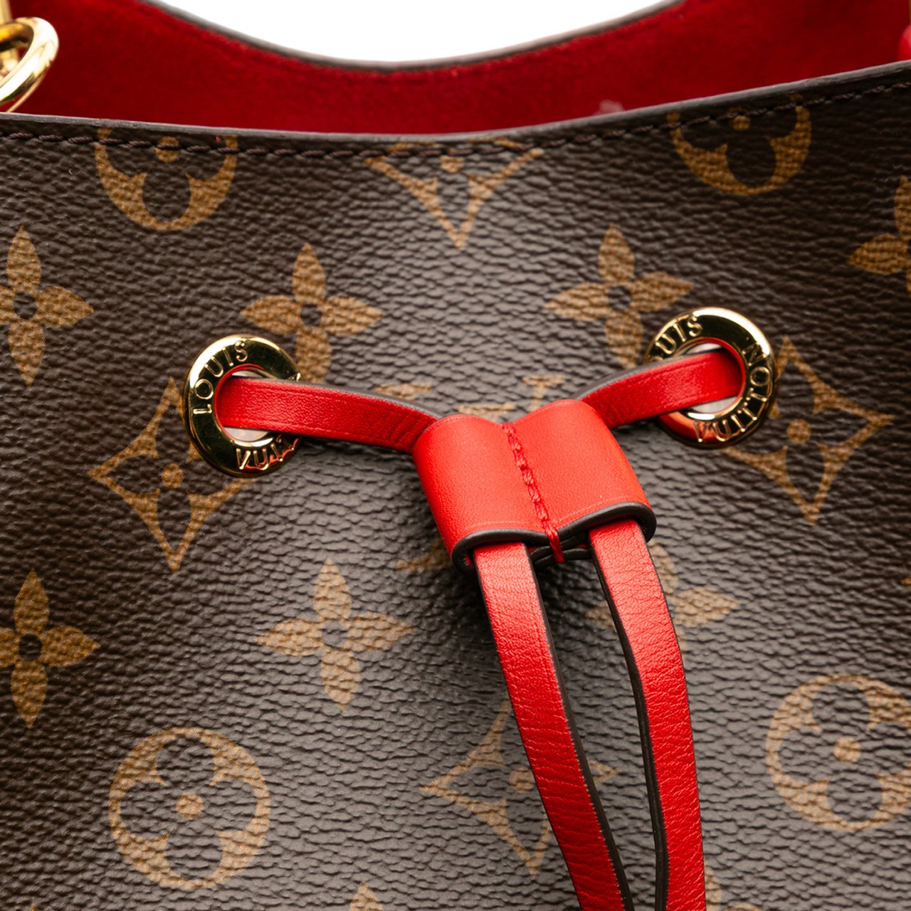 Louis Vuitton Monogram Neonoe MM Bruin