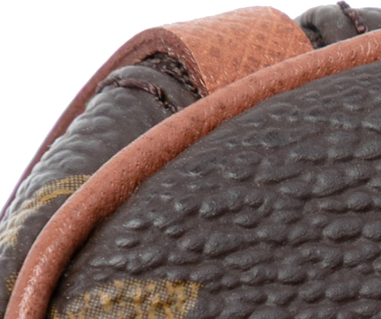 Louis Vuitton Monogram Papillon Pochette Bruin