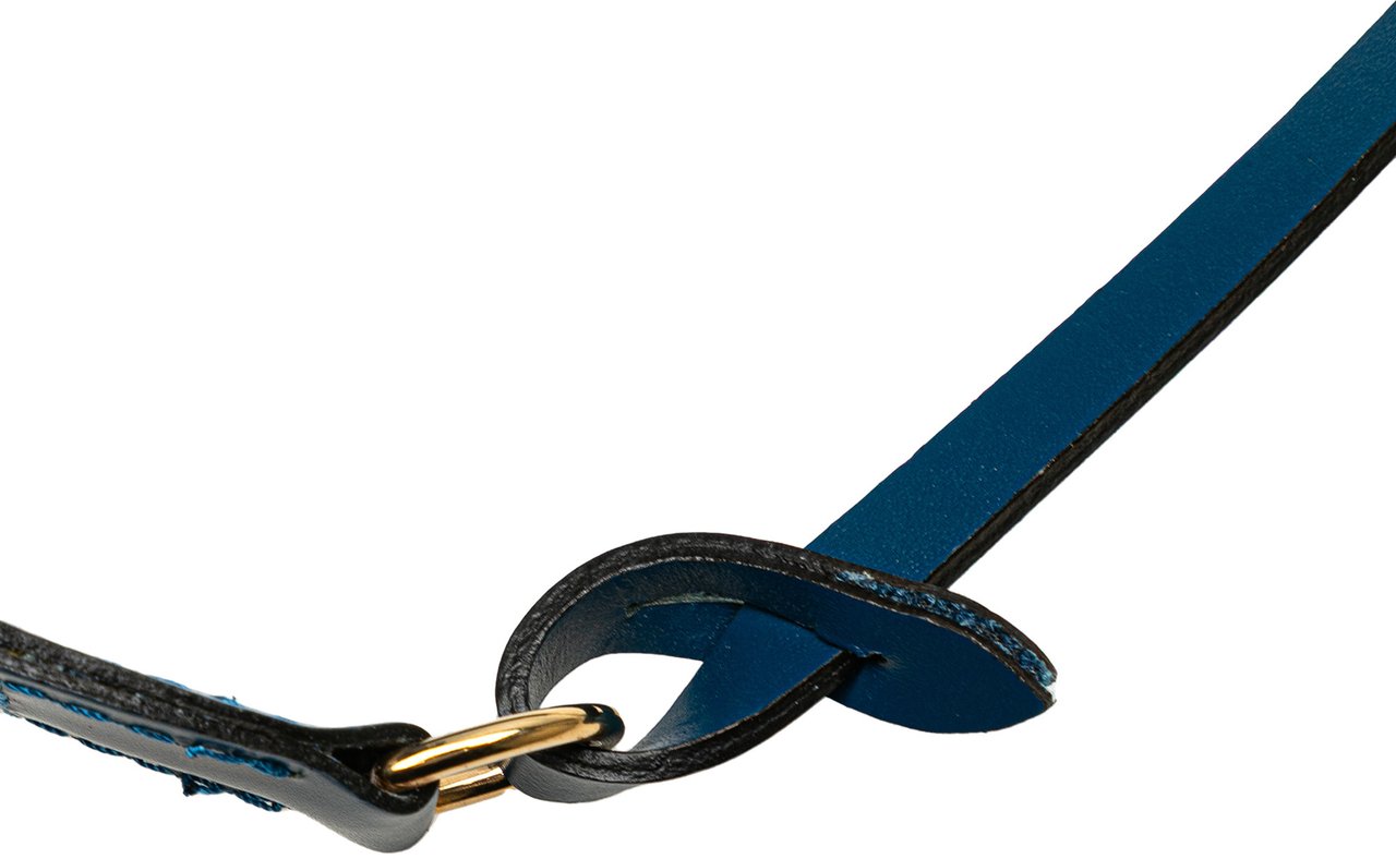 Louis Vuitton Epi Pochette Accessoires Blauw