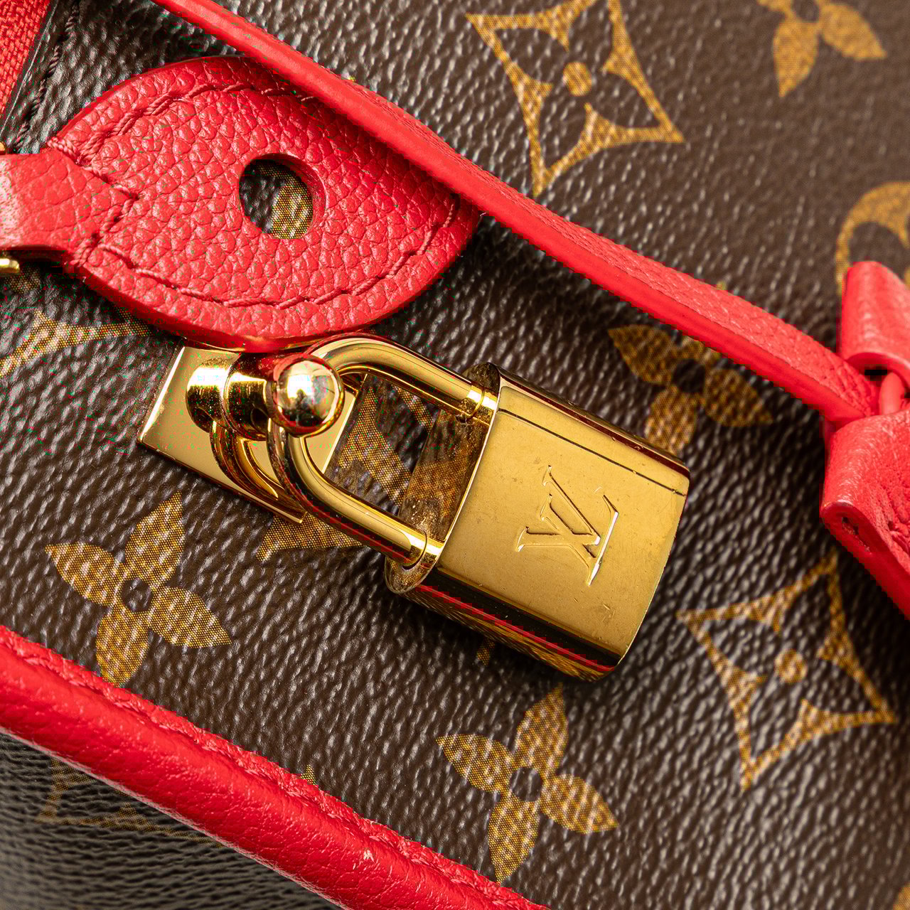 Louis Vuitton Monogram Popincourt PM Bruin
