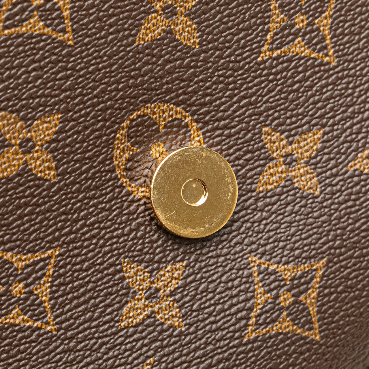 Louis Vuitton Monogram Epi Saint Michel Bruin