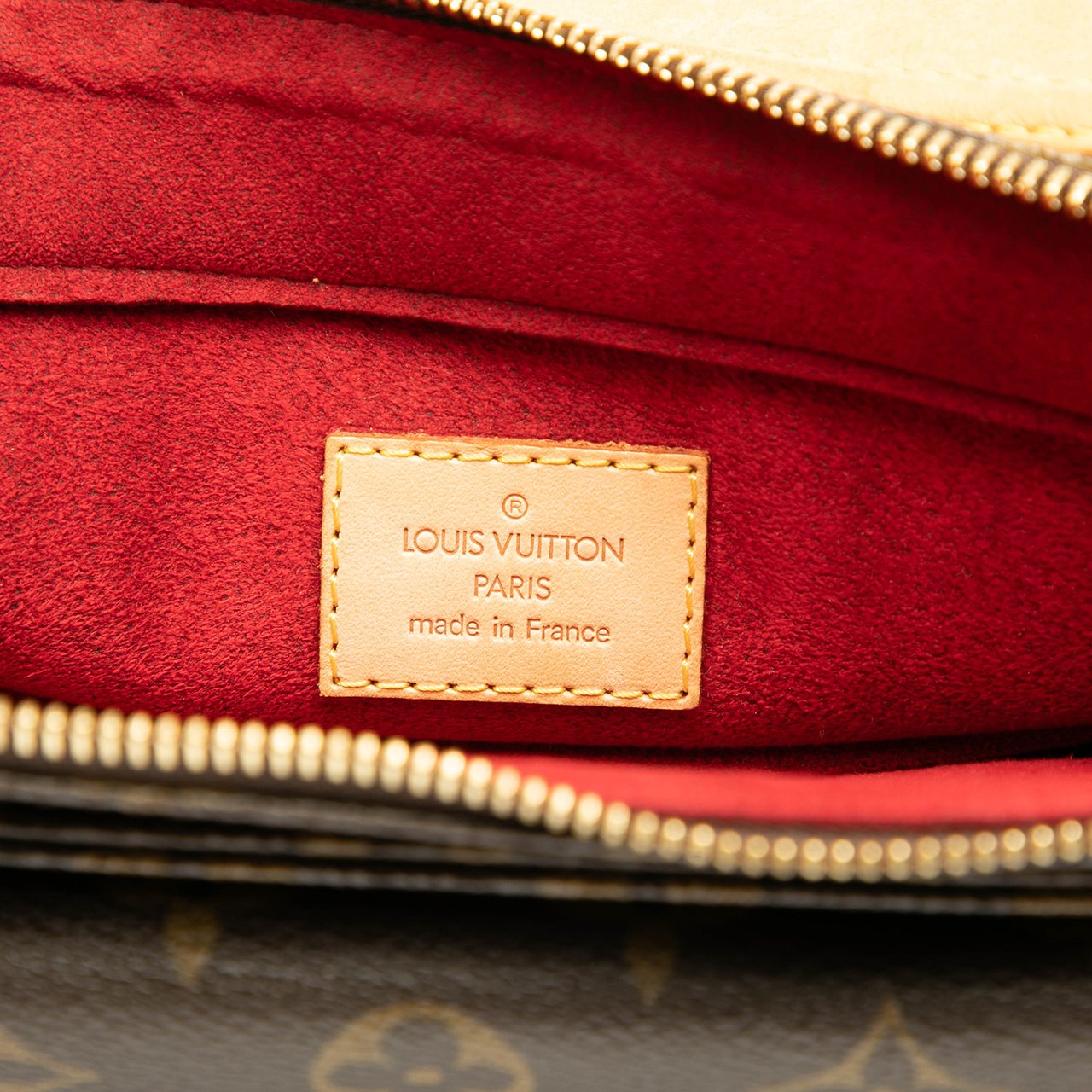 Louis Vuitton Monogram Viva Cite GM Bruin