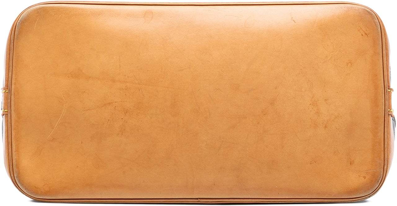 Louis Vuitton Monogram Alma PM Bruin