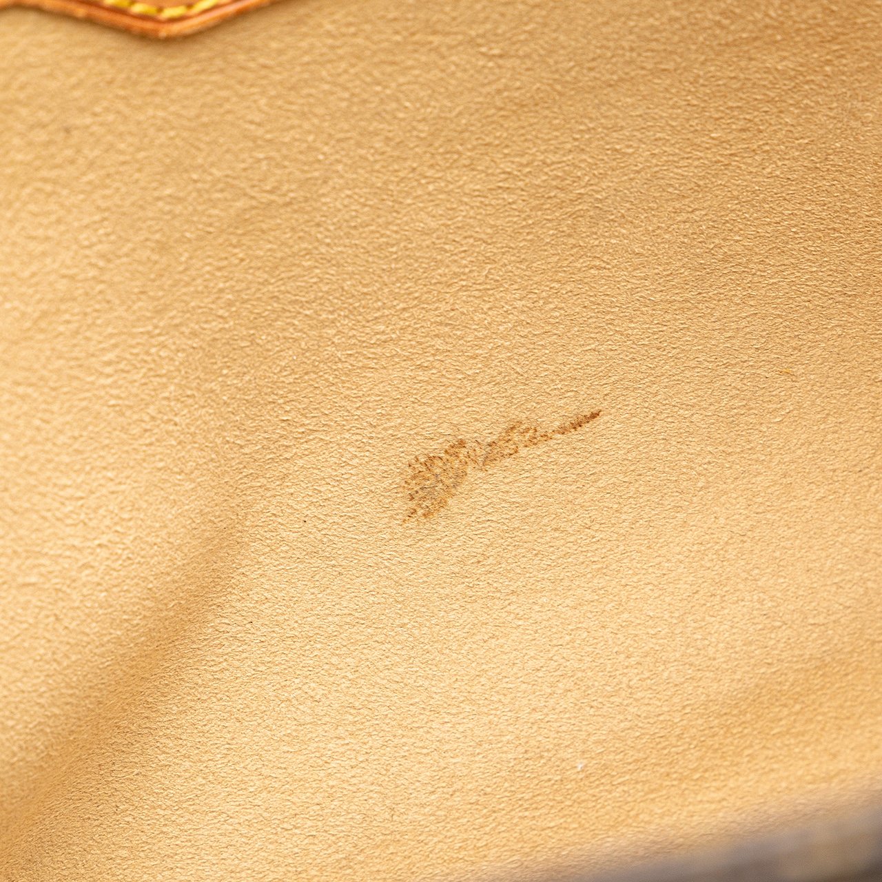 Louis Vuitton Monogram Luco Bruin