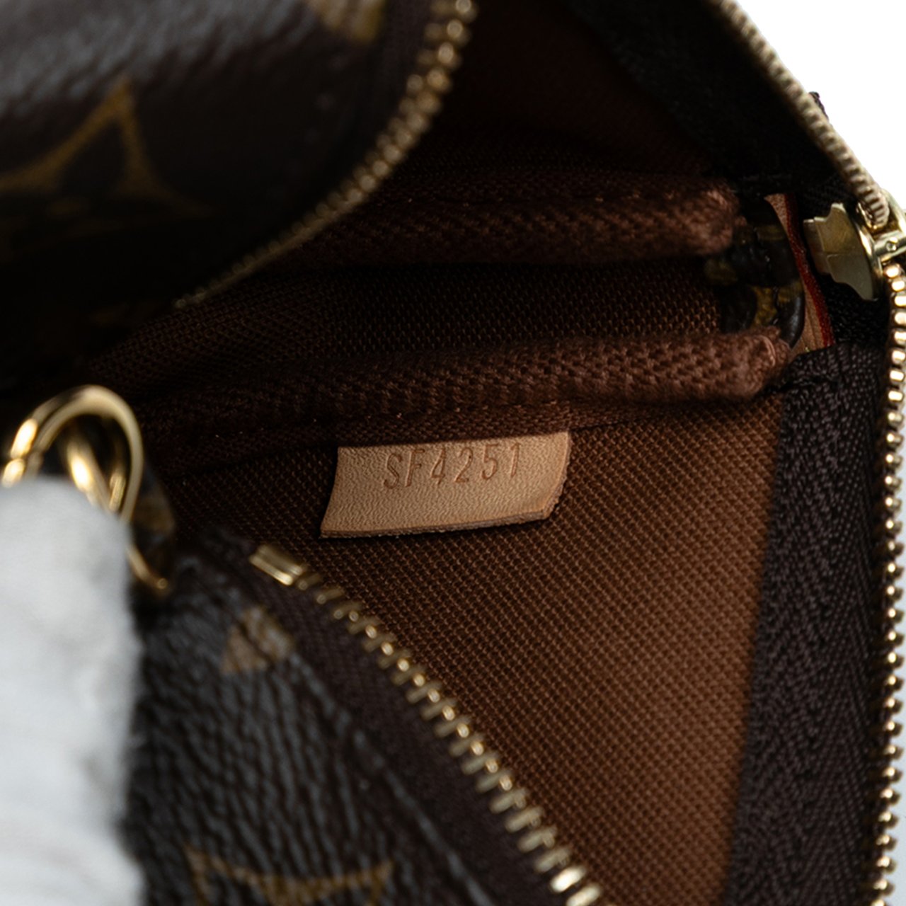 Louis Vuitton Monogram Mini Pochette Accessoires Bruin