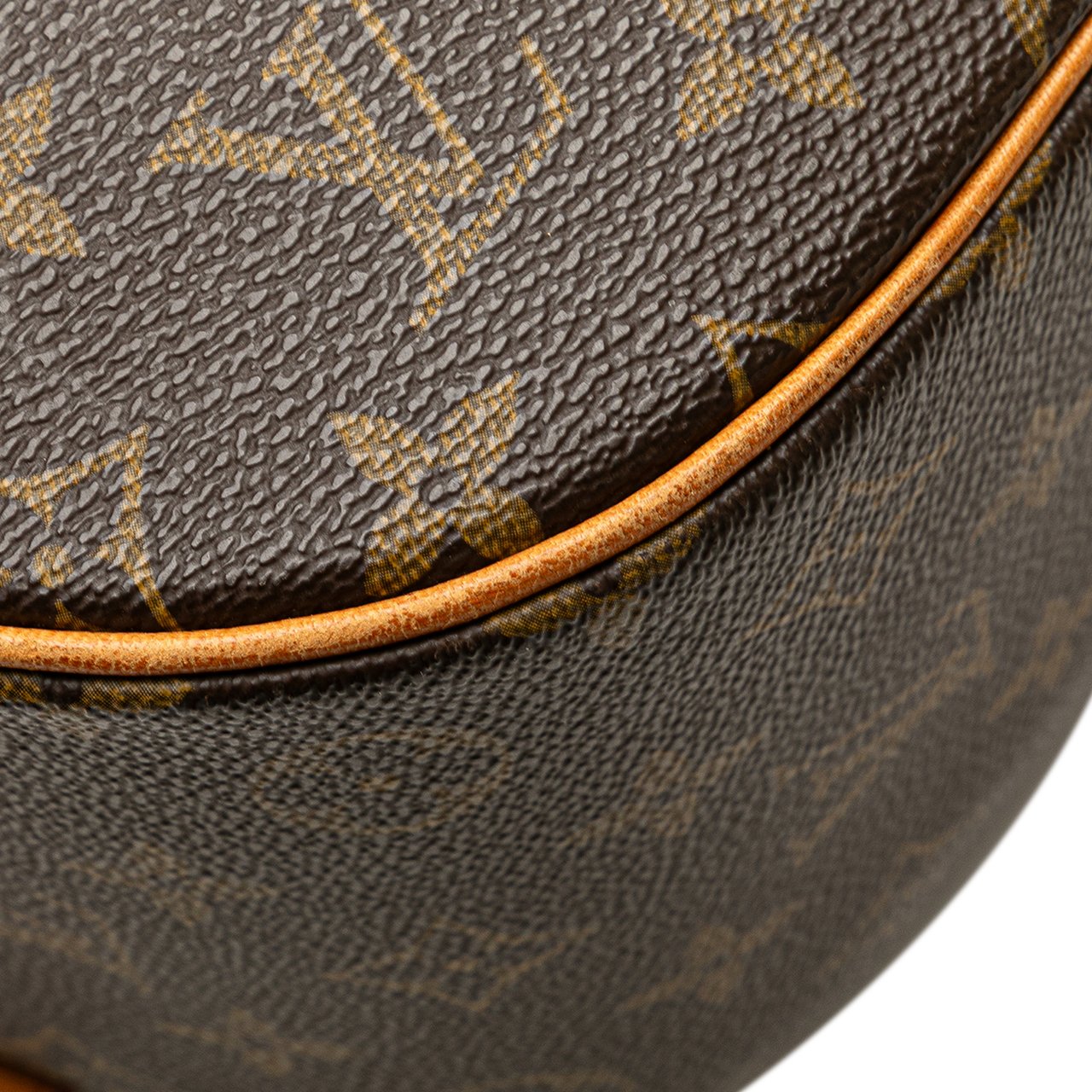 Louis Vuitton Monogram Sac a Dos Packall Bruin