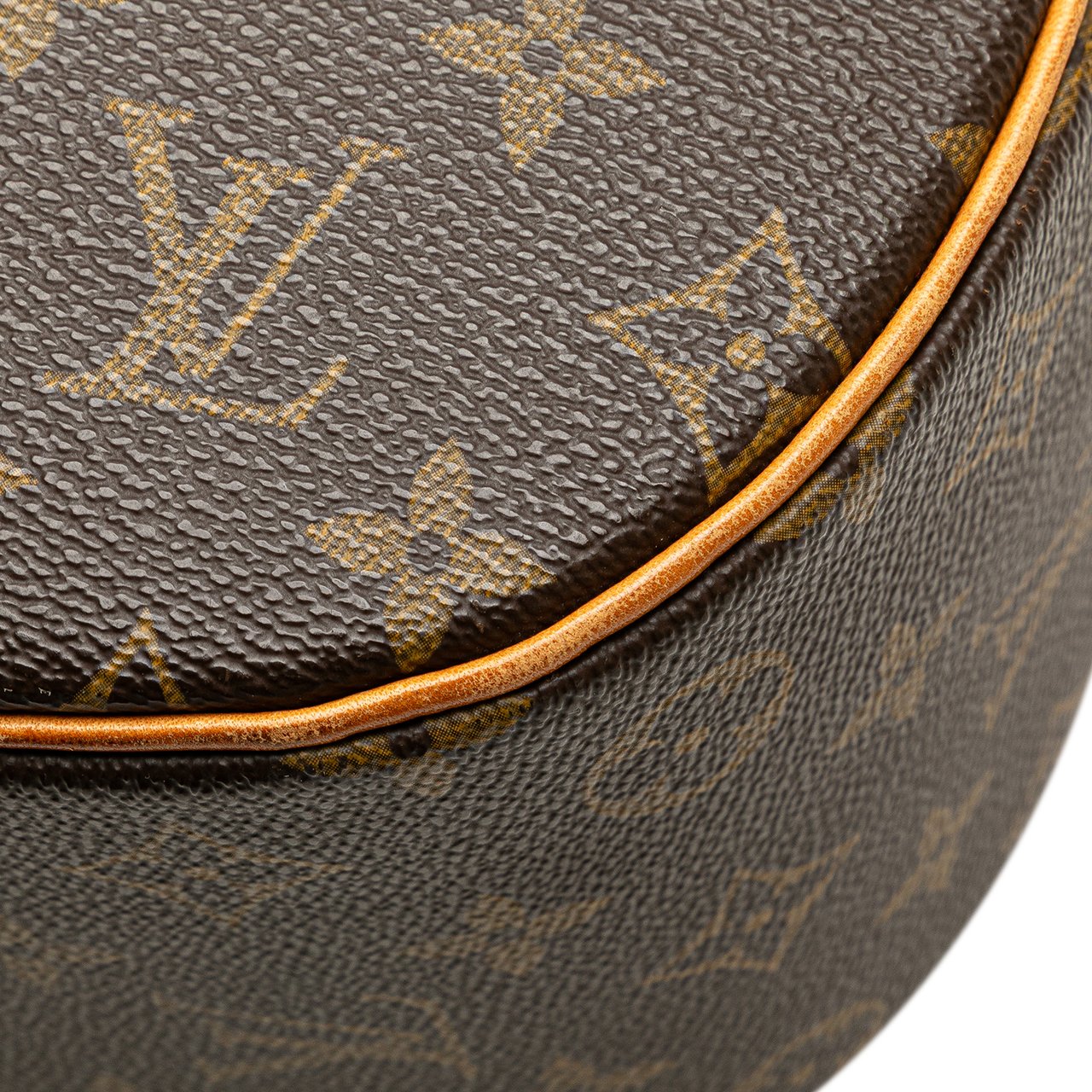 Louis Vuitton Monogram Sac a Dos Packall Bruin