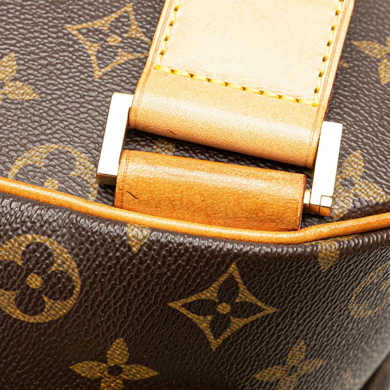 Louis Vuitton Monogram Sac a Dos Packall Bruin