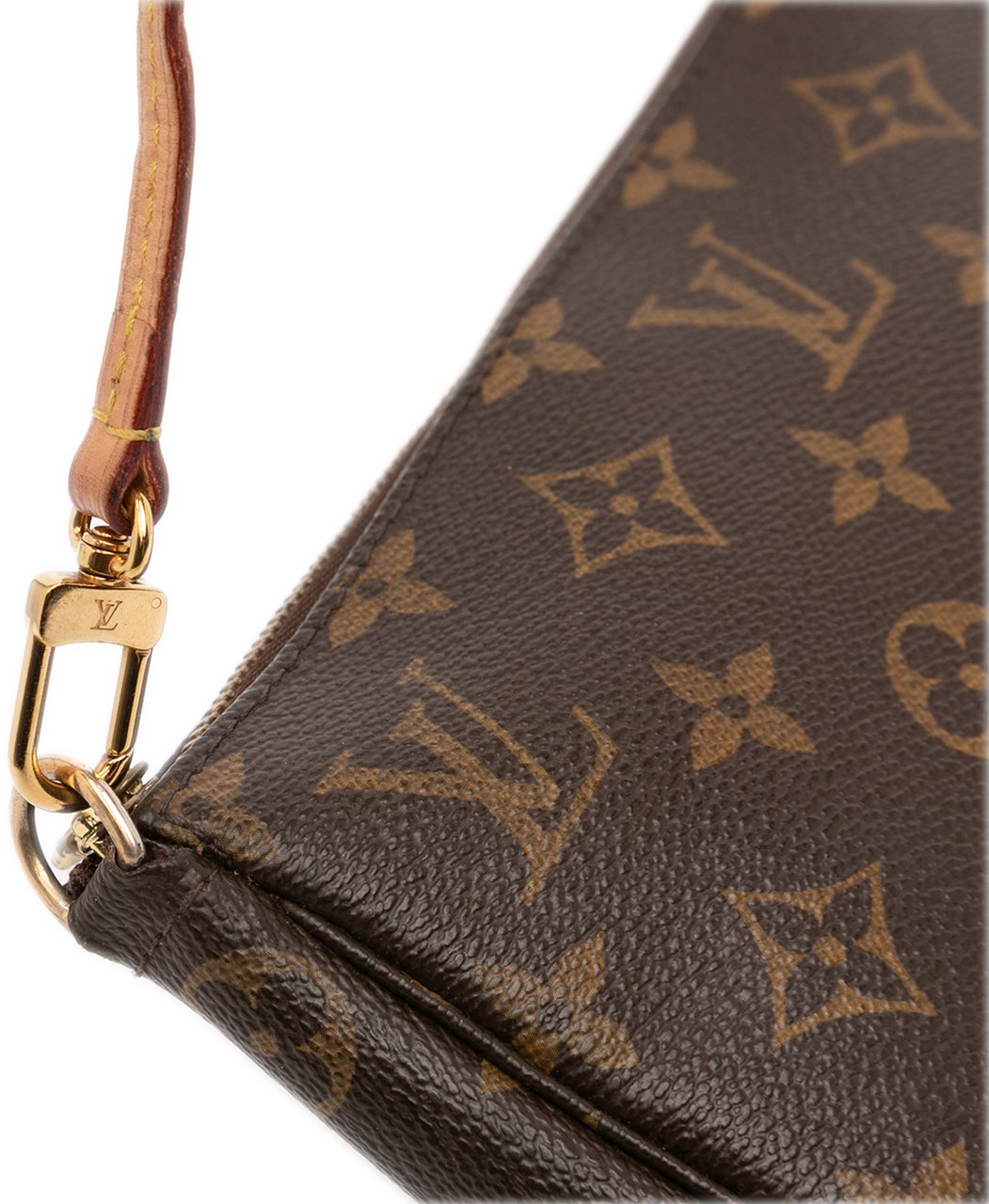 Louis Vuitton Monogram Pochette Accessoires Bruin